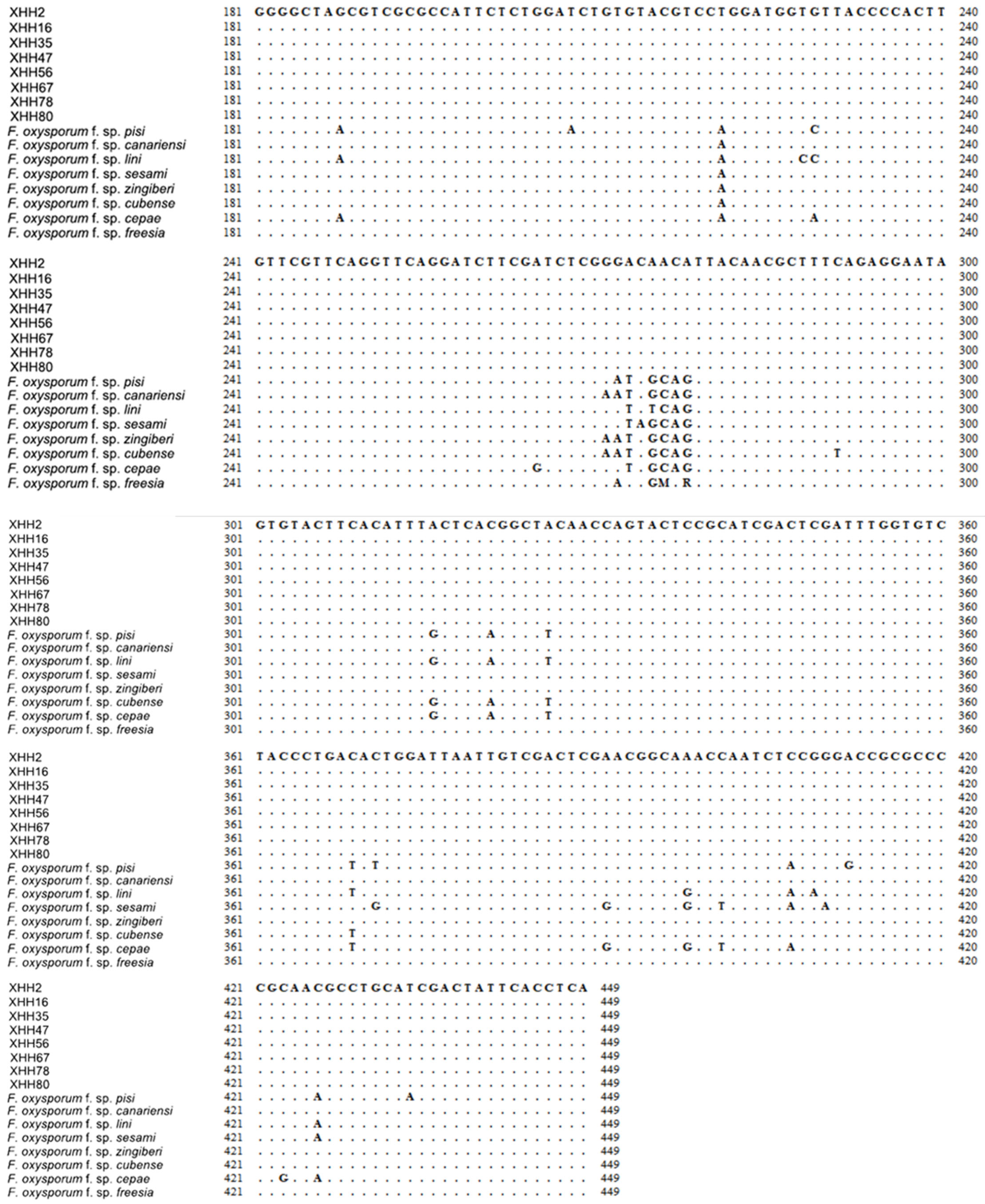 Plants 13 03166 g006b
