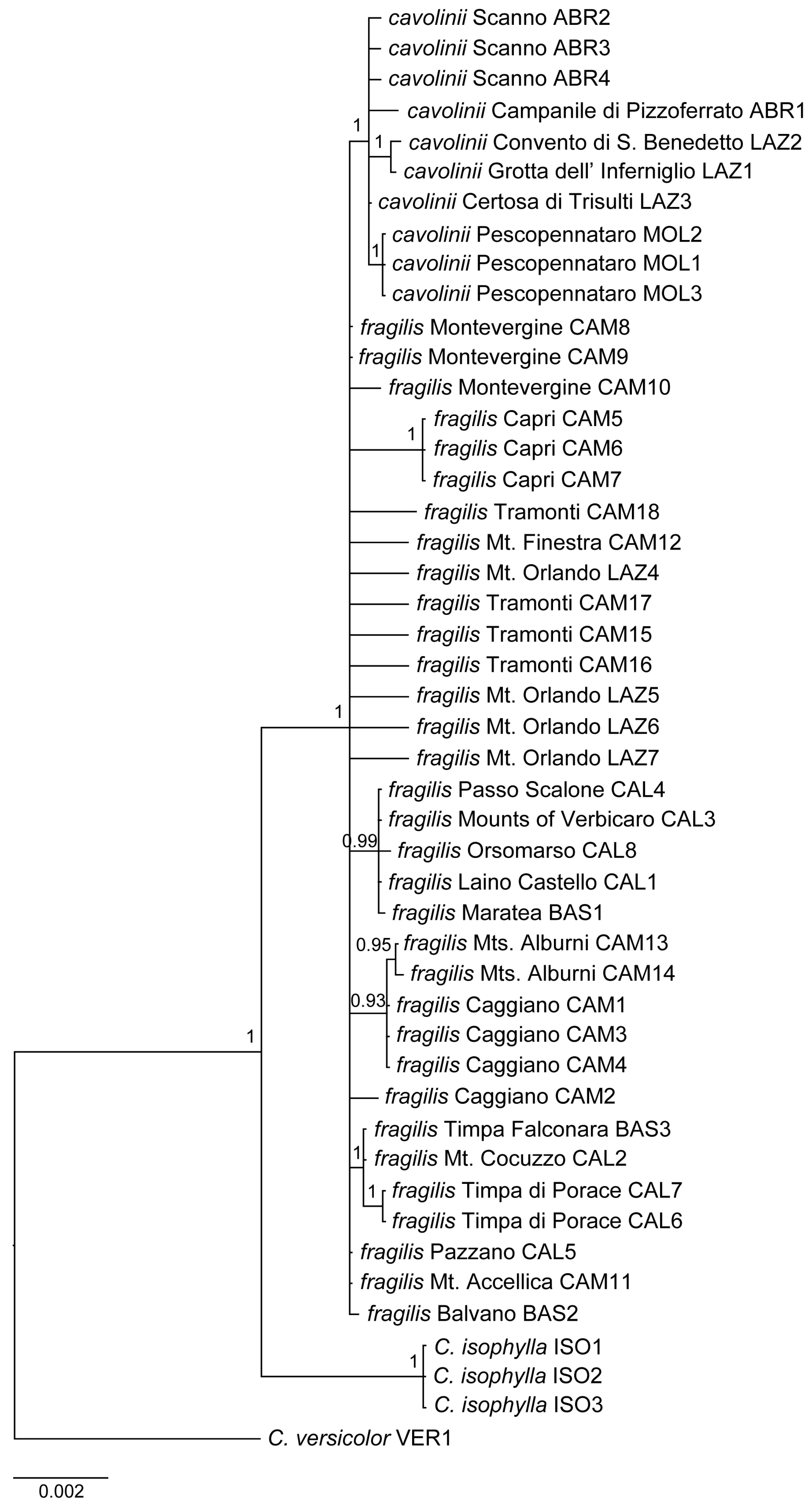 Plants 13 03169 g002 Plants 13 03169 g002