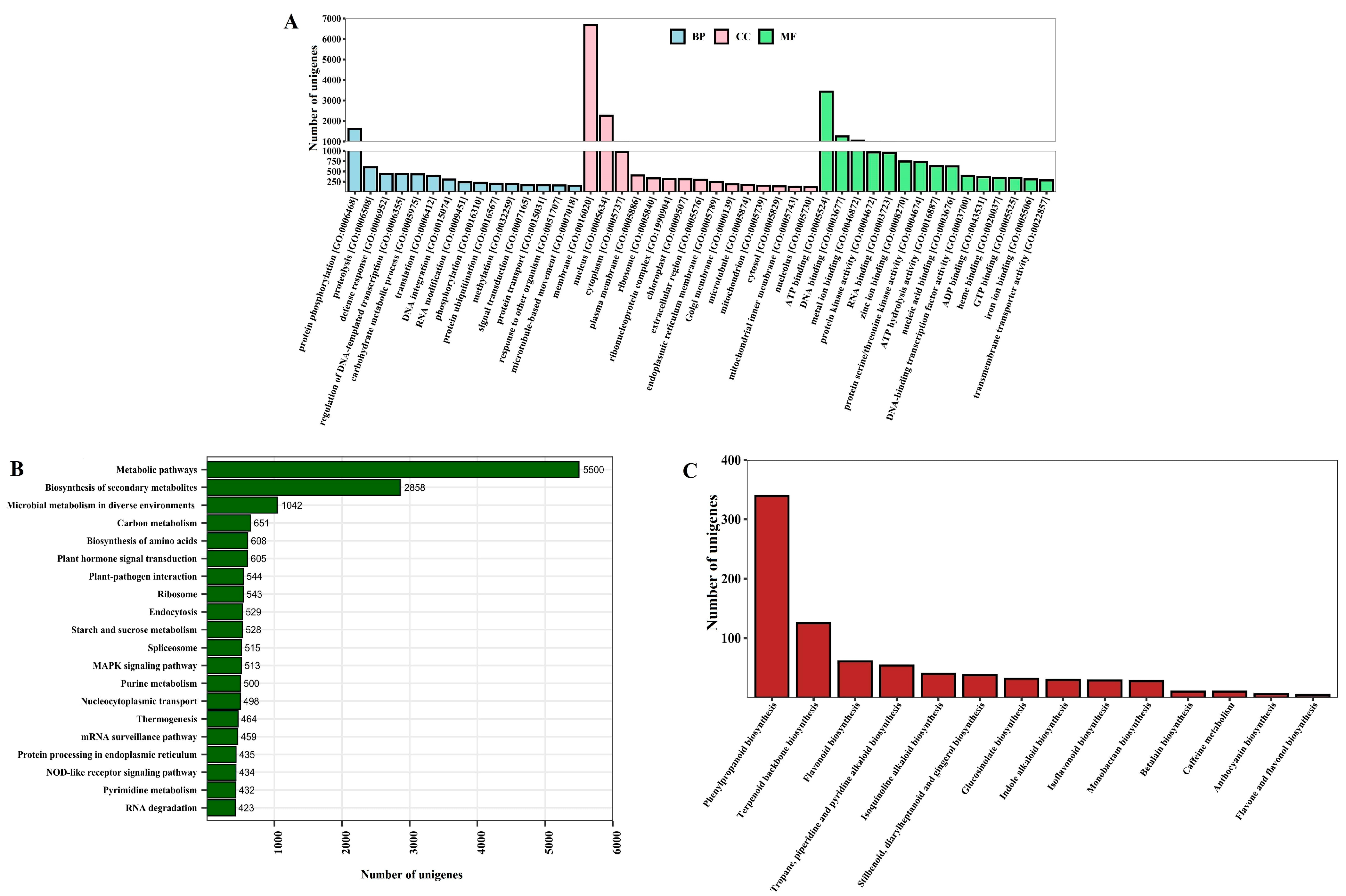 Plants 13 03170 g003