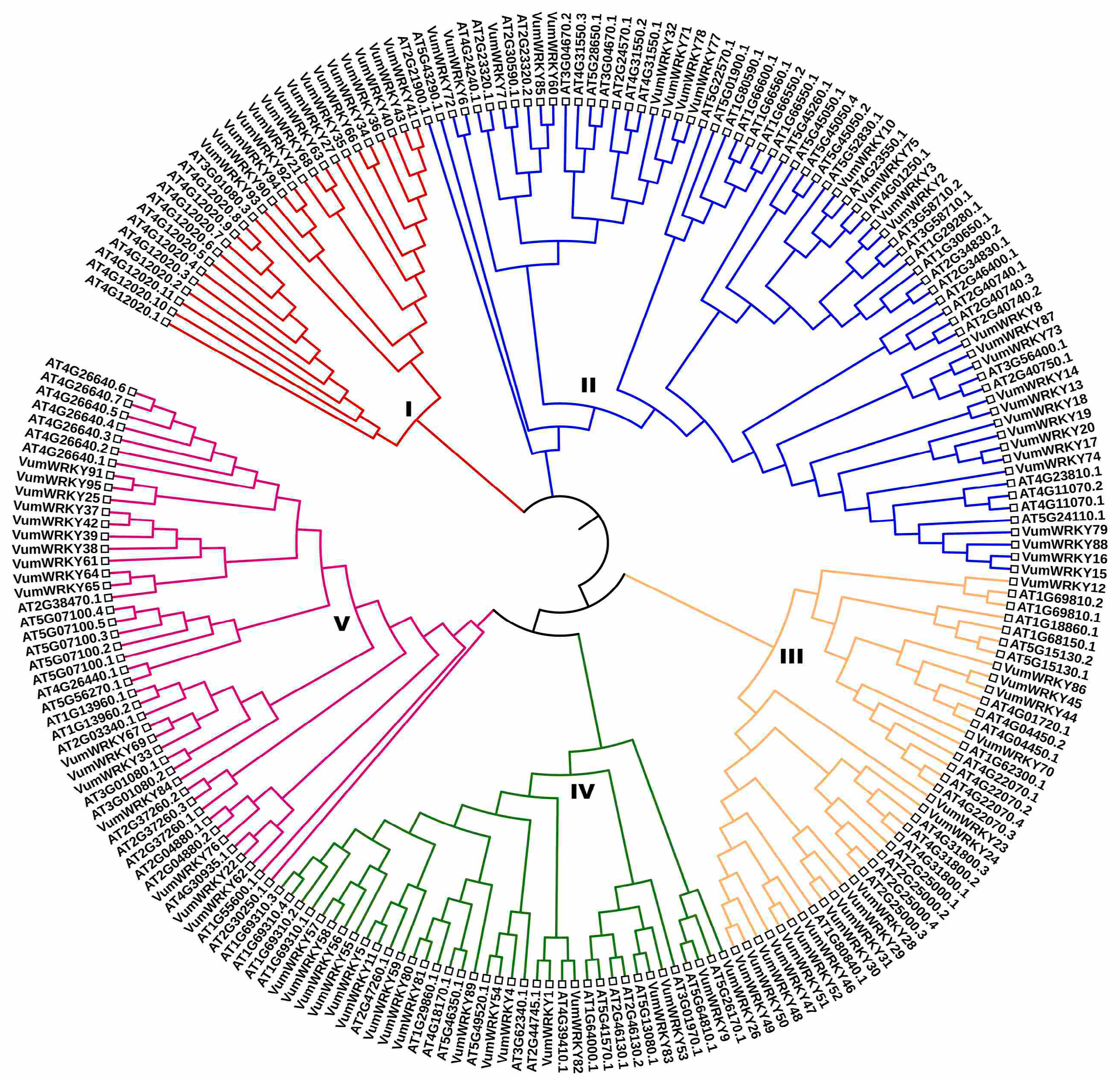 Plants 13 03170 g005