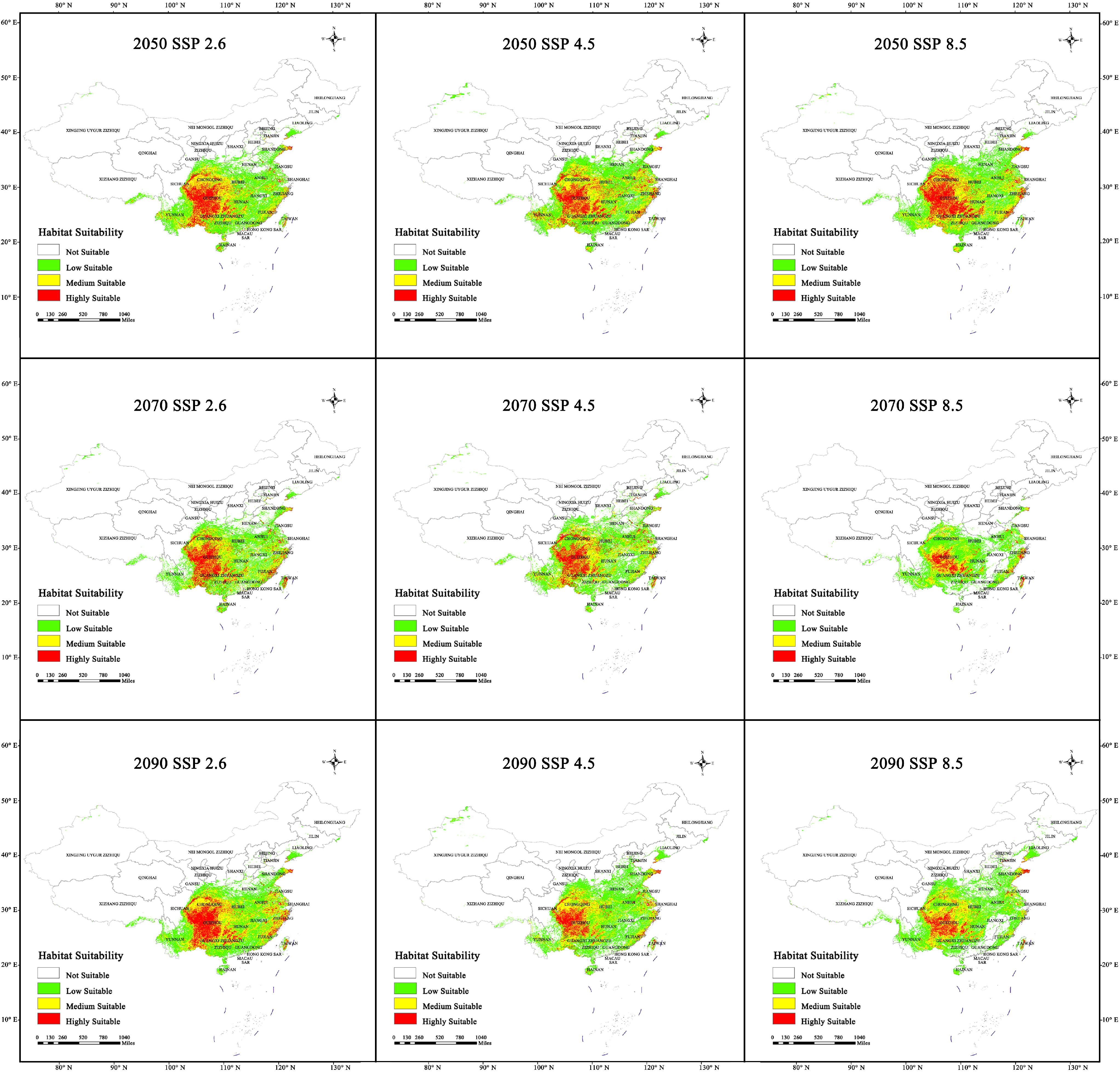 Plants 13 03175 g006