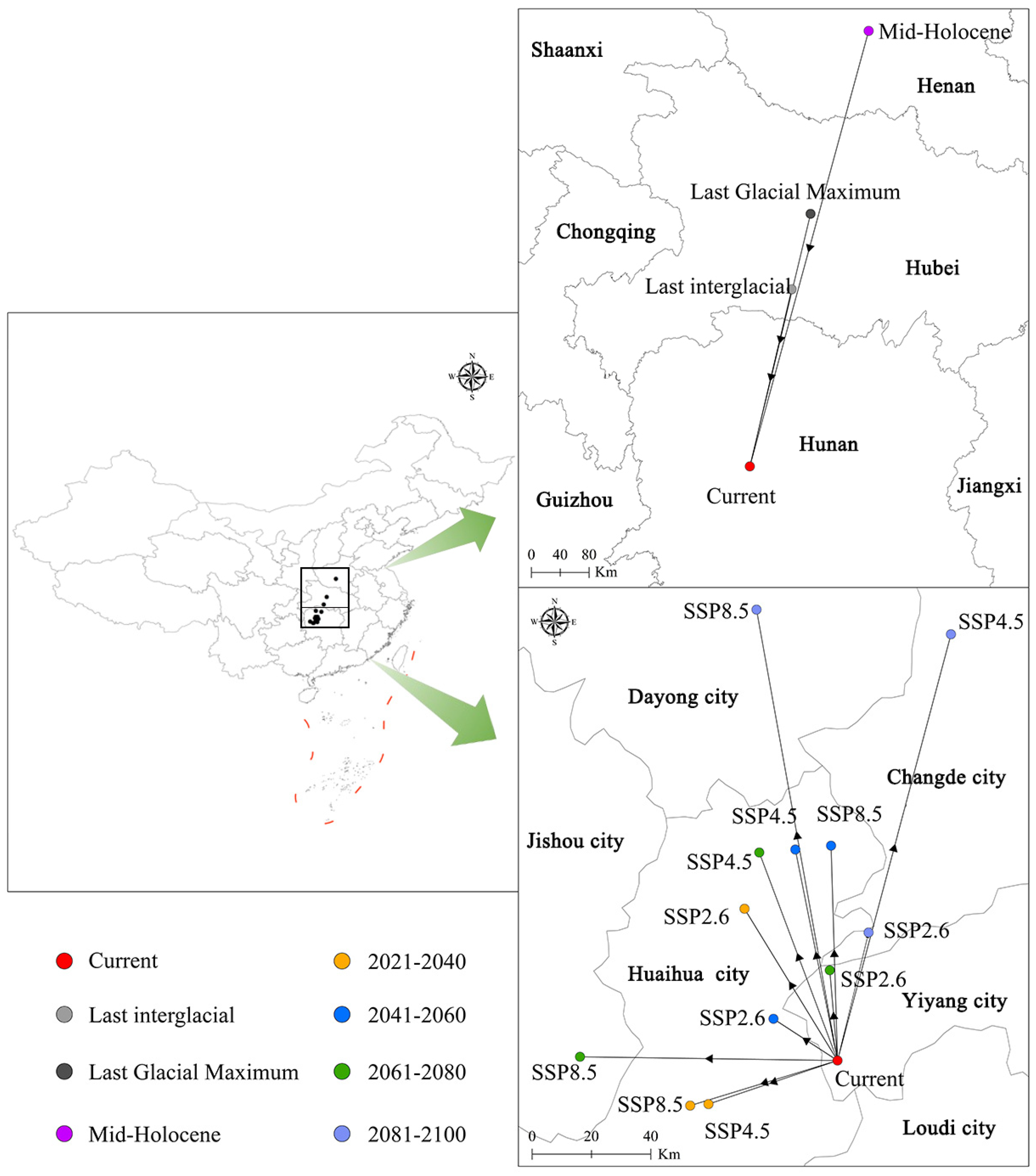 Plants 13 03175 g009