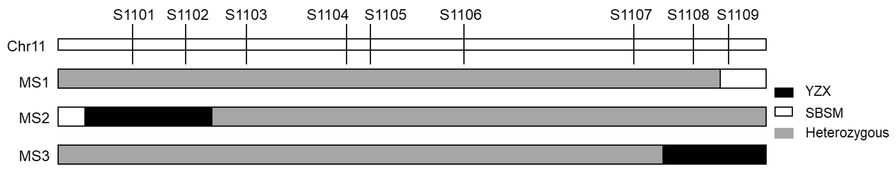 Plants 13 03178 g004