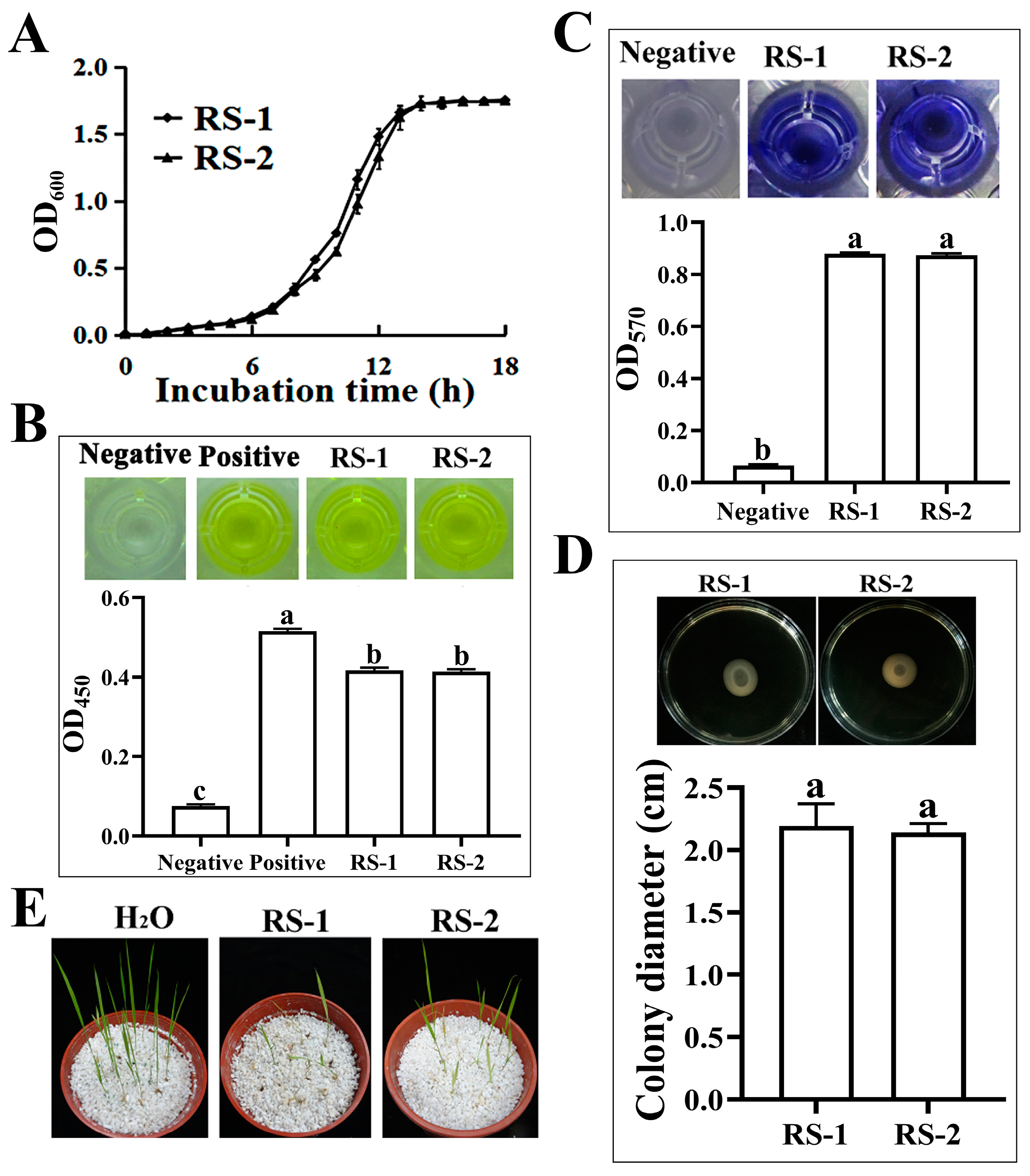 Plants 13 03182 g002 Plants 13 03182 g002