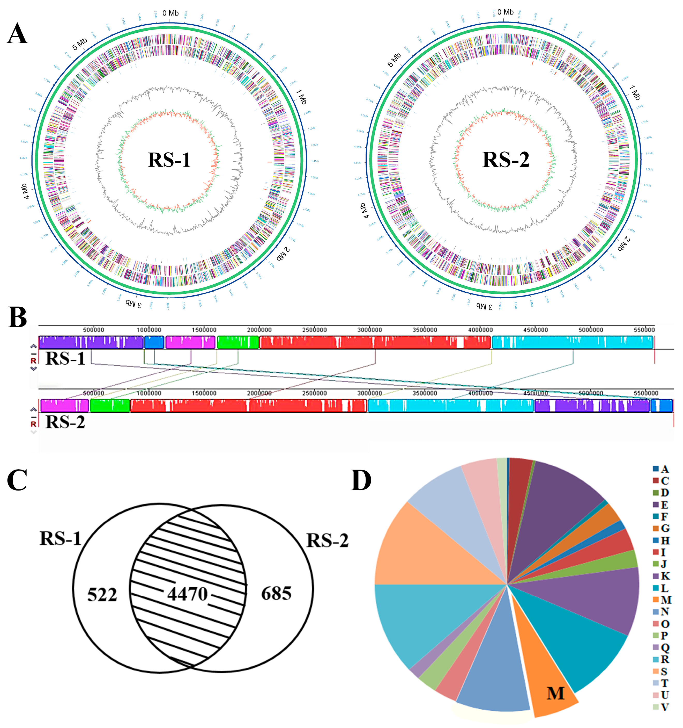 Plants 13 03182 g005 Plants 13 03182 g005