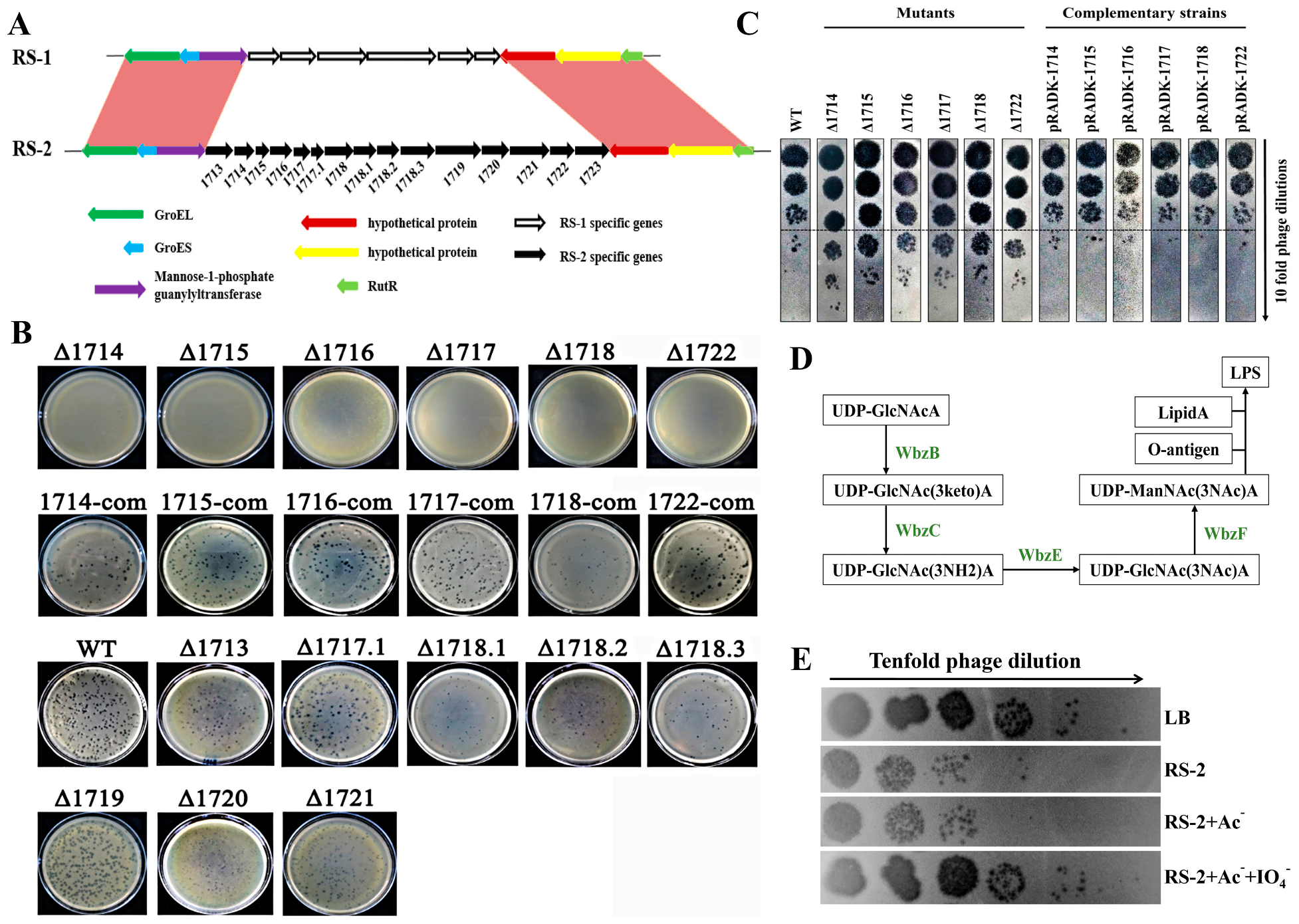 Plants 13 03182 g006 Plants 13 03182 g006