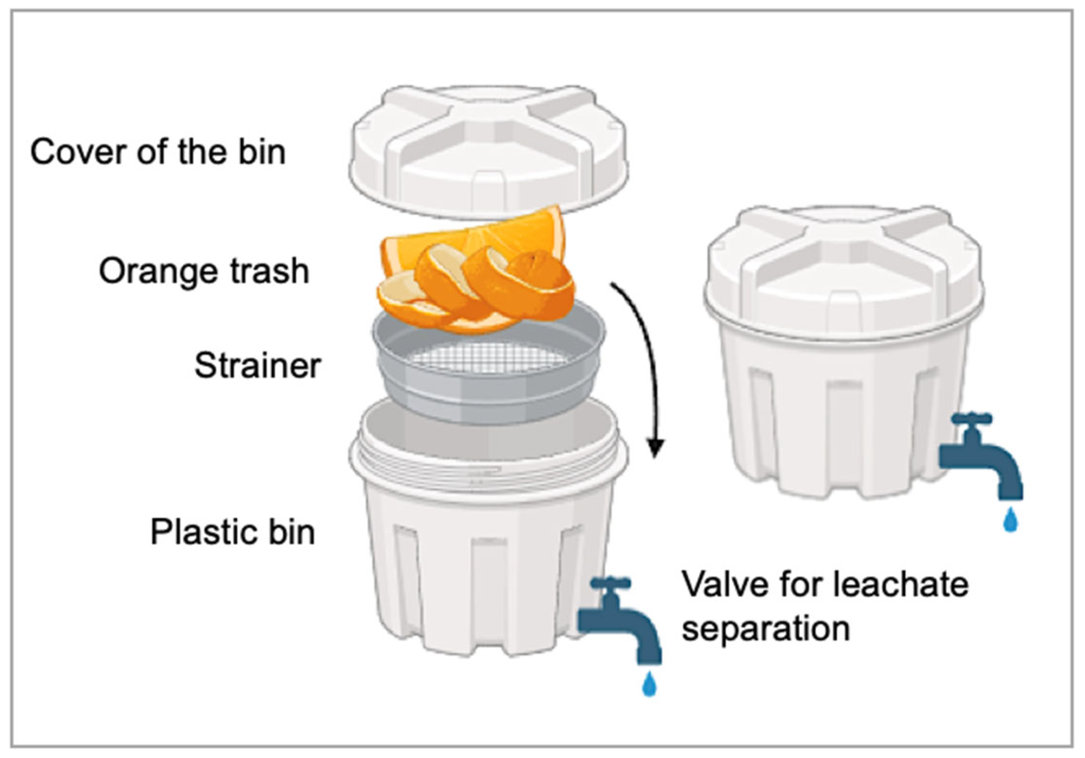 Plants 13 03191 g001