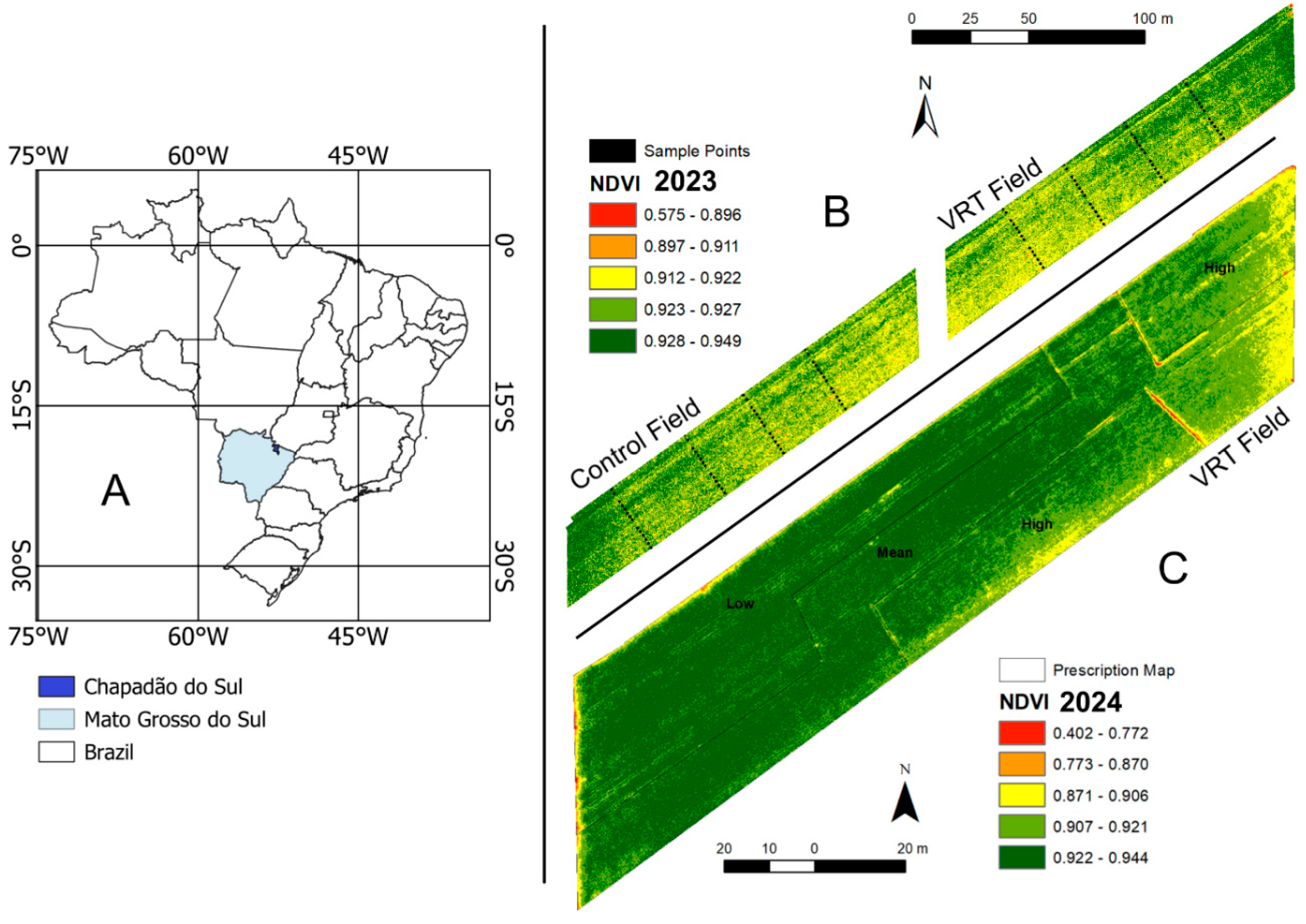 Plants 13 03193 g001