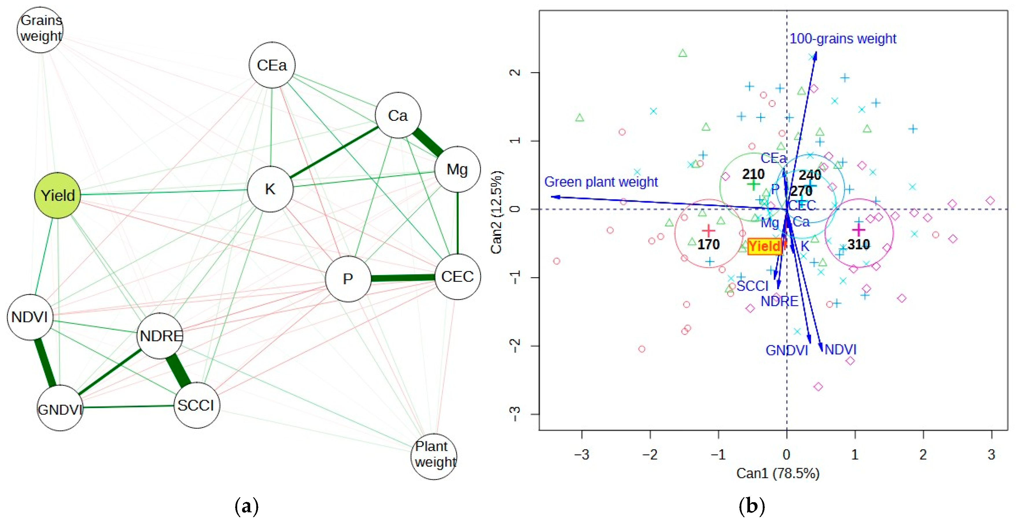 Plants 13 03193 g004