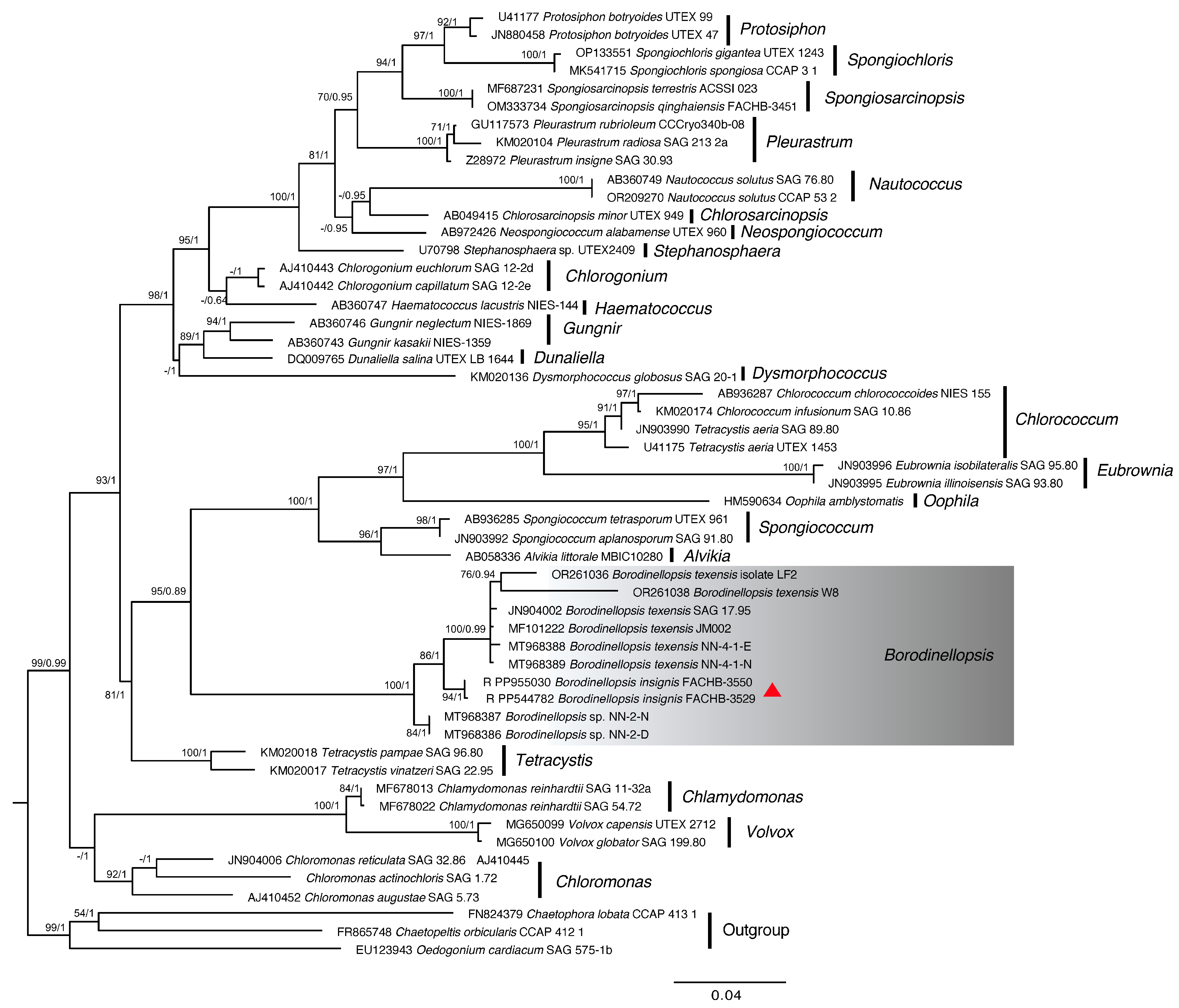 Plants 13 03199 g002