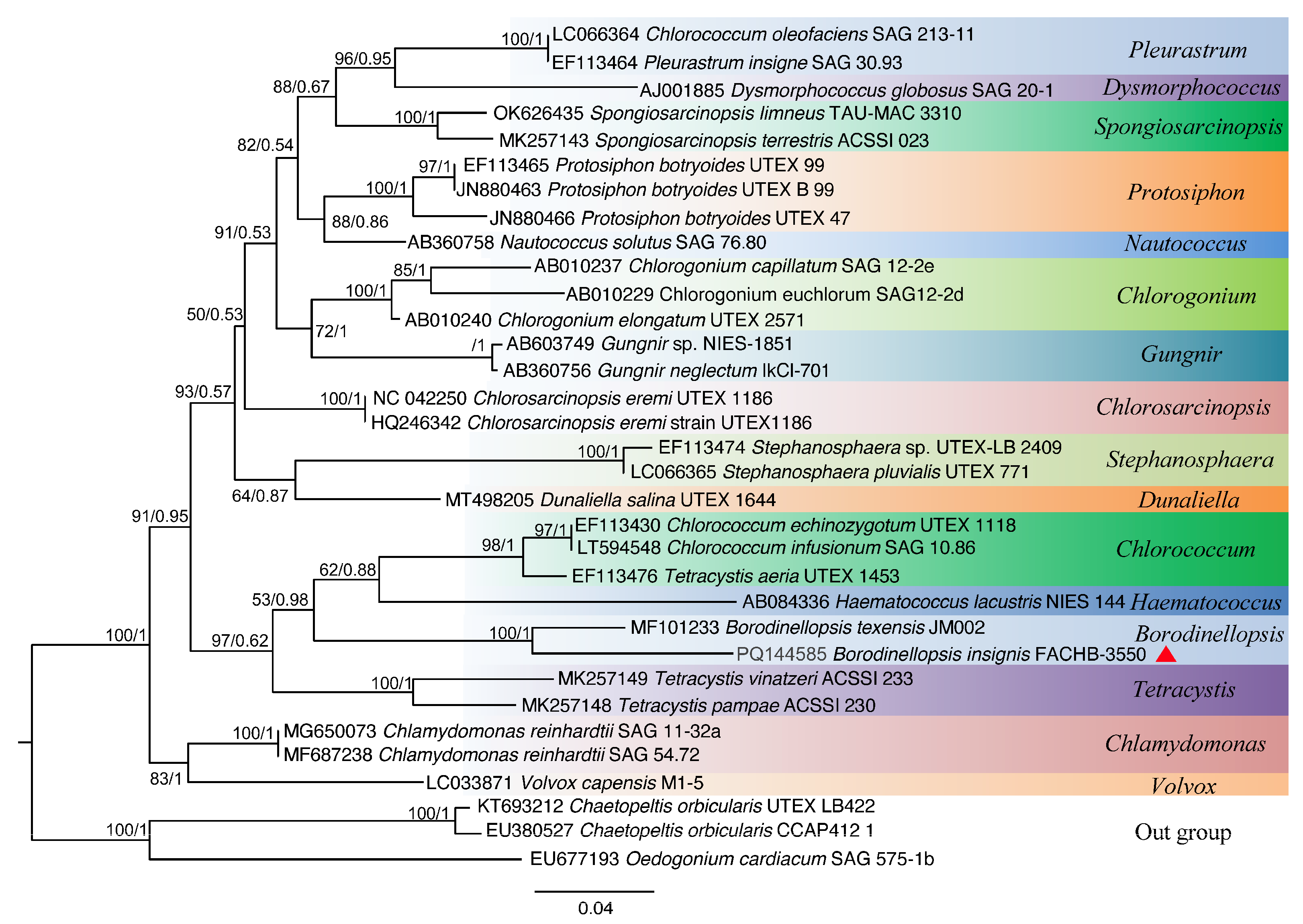 Plants 13 03199 g004