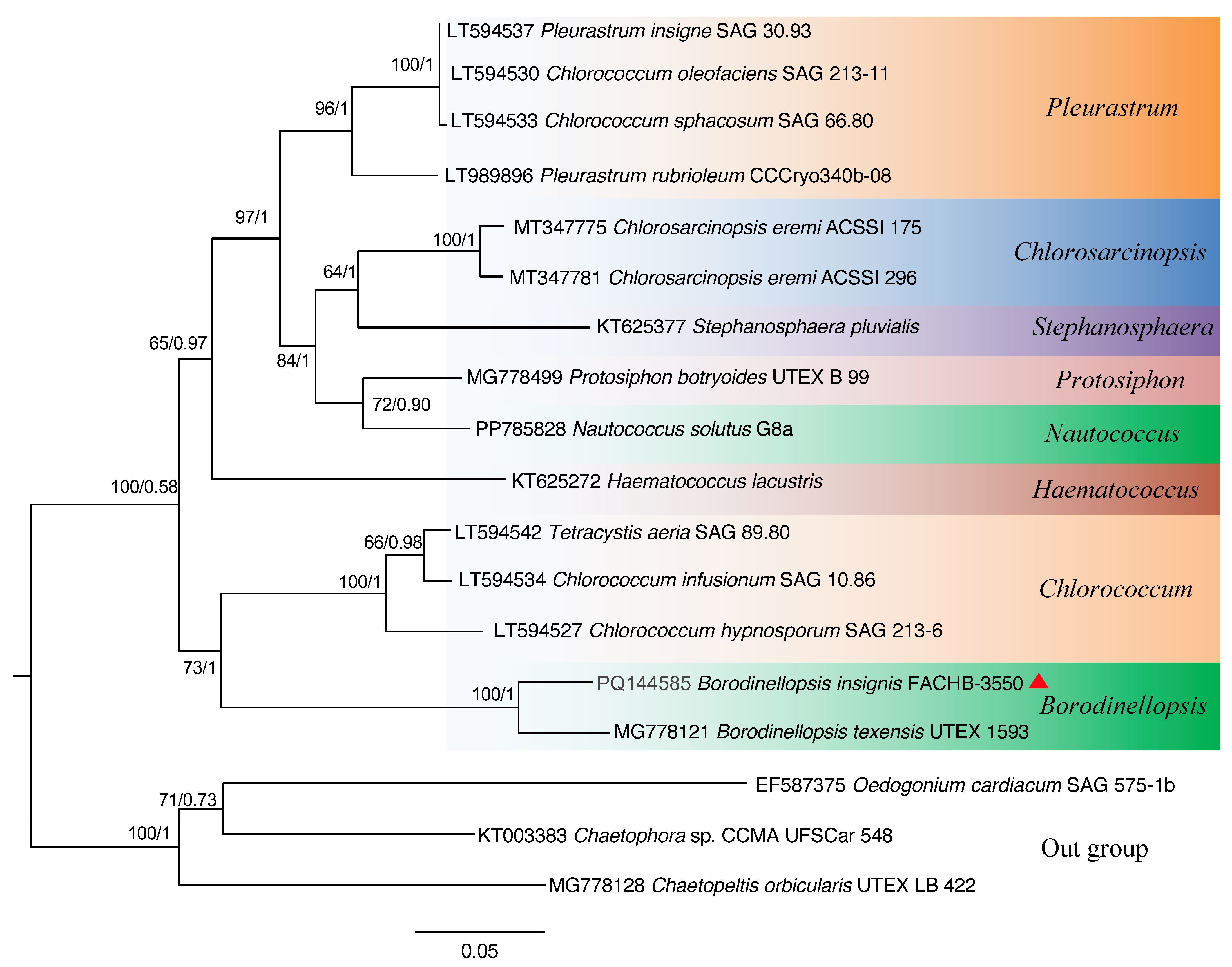 Plants 13 03199 g005