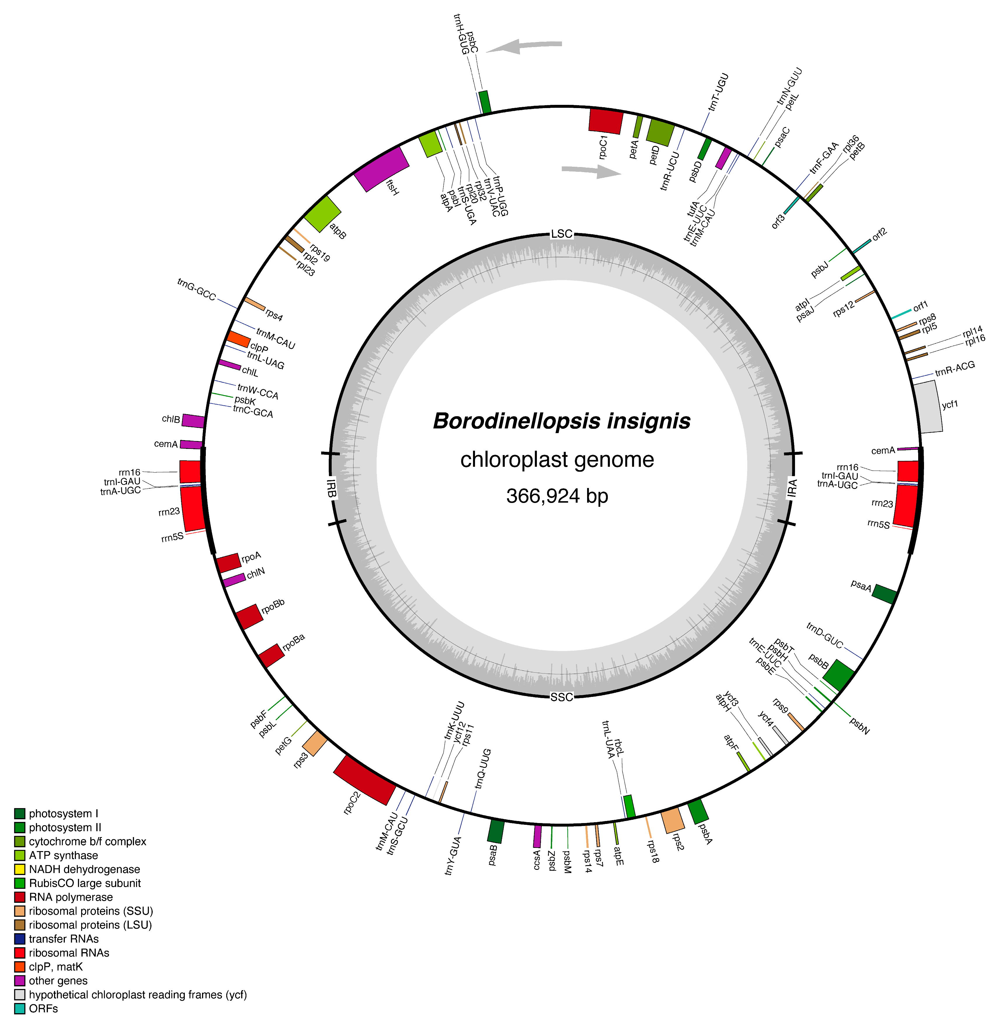 Plants 13 03199 g006