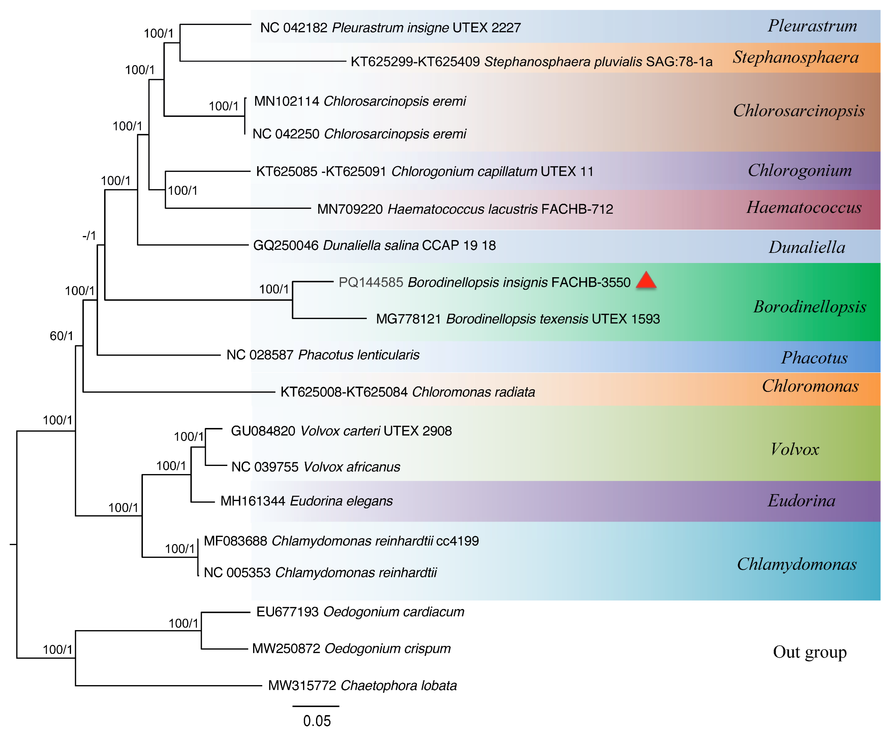 Plants 13 03199 g008