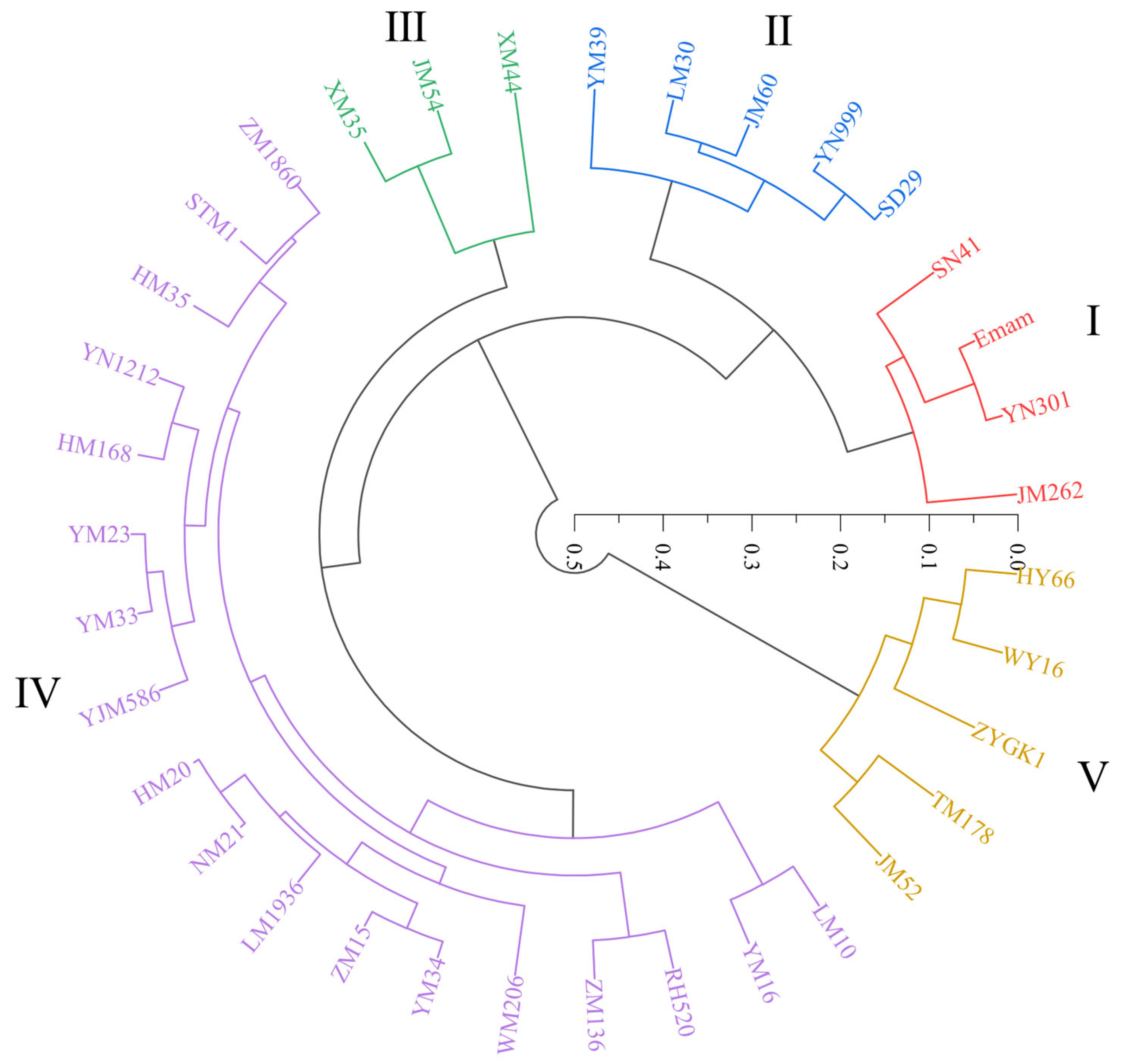 Plants 13 03201 g004