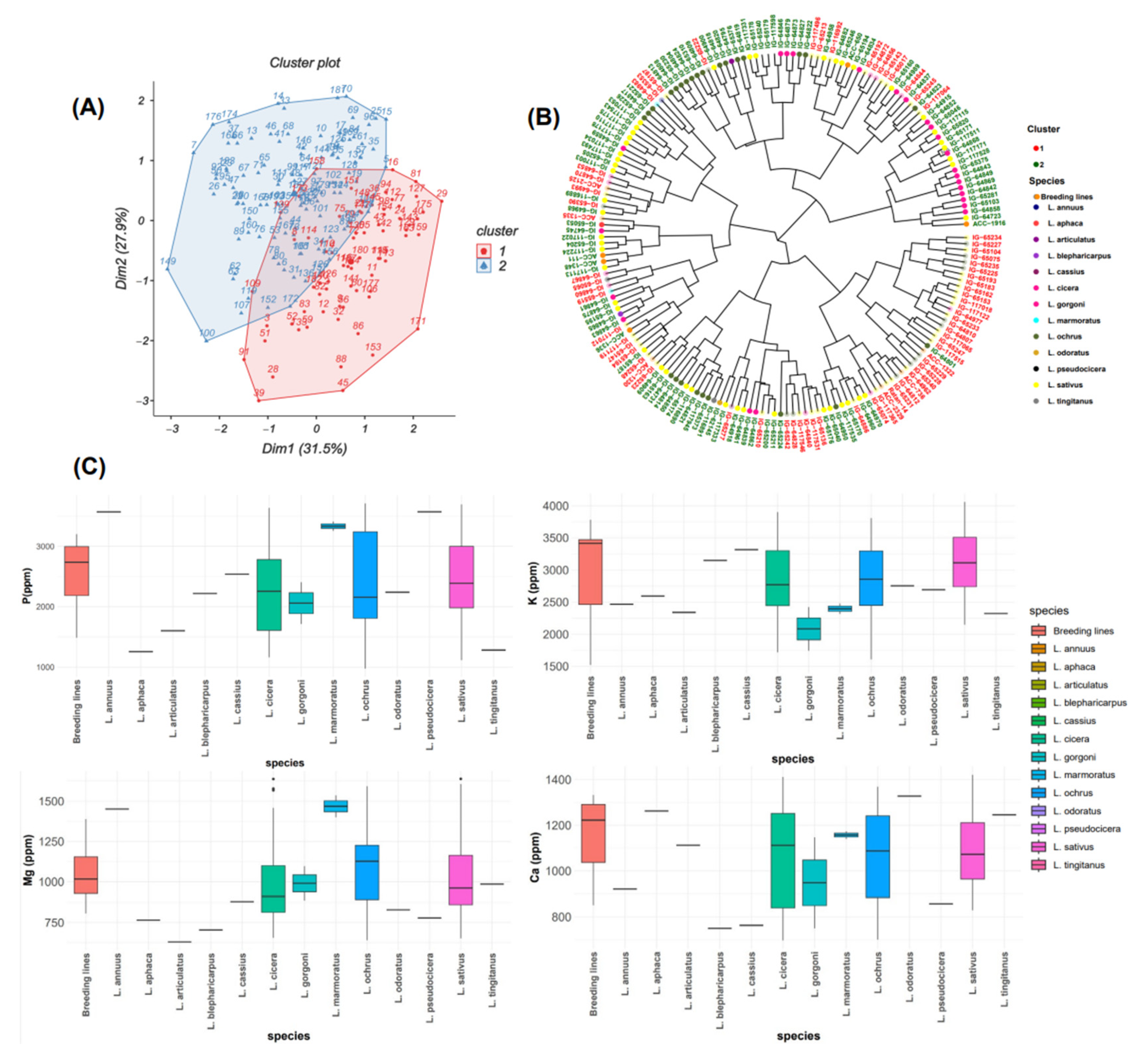 Plants 13 03202 g002