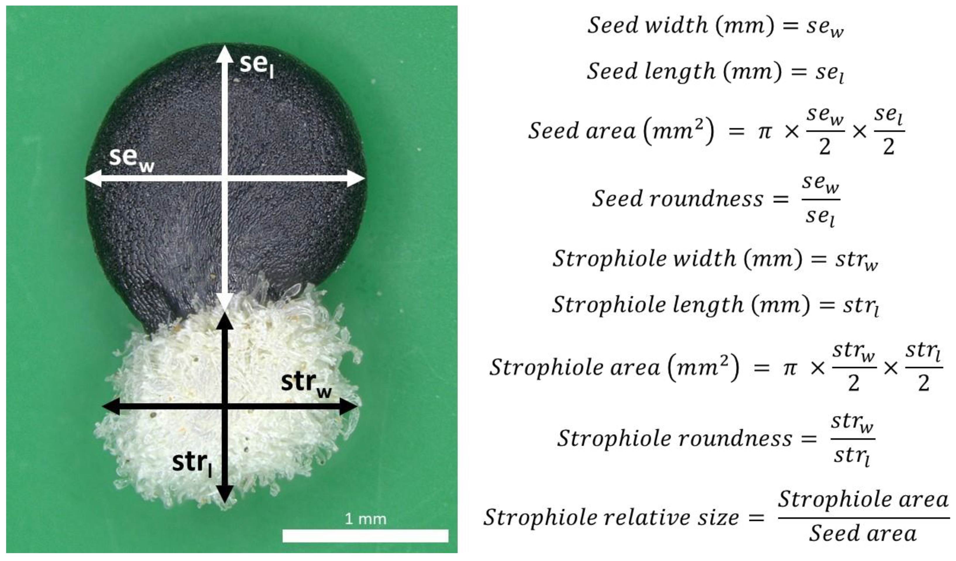 Plants 13 03208 g007