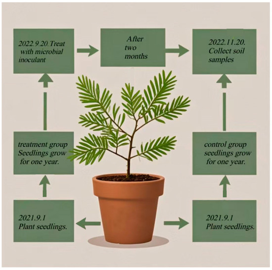 RS Soil Microbial and Metabolomic Shifts Induced by Phosphate