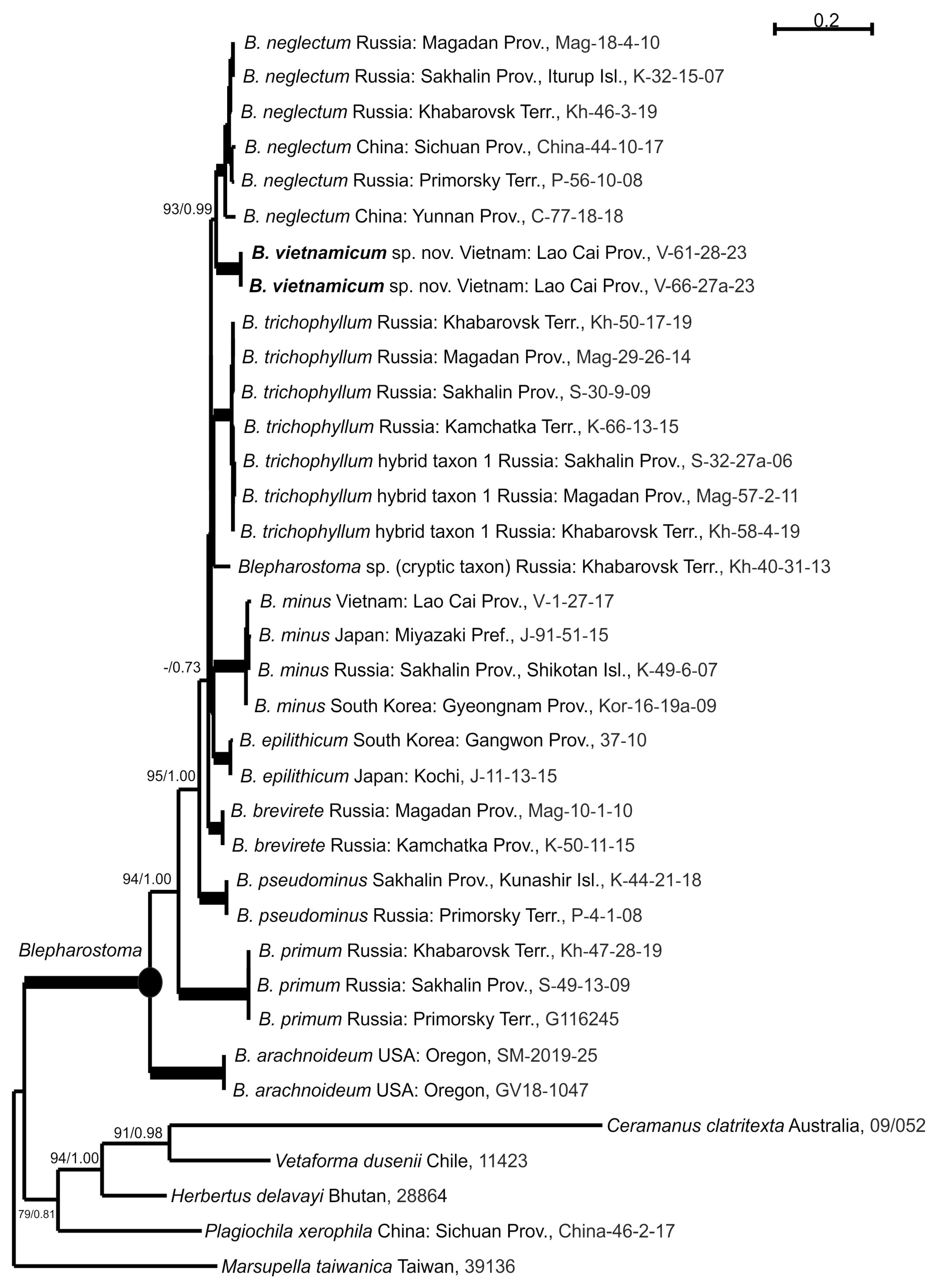 Plants 13 03215 g001