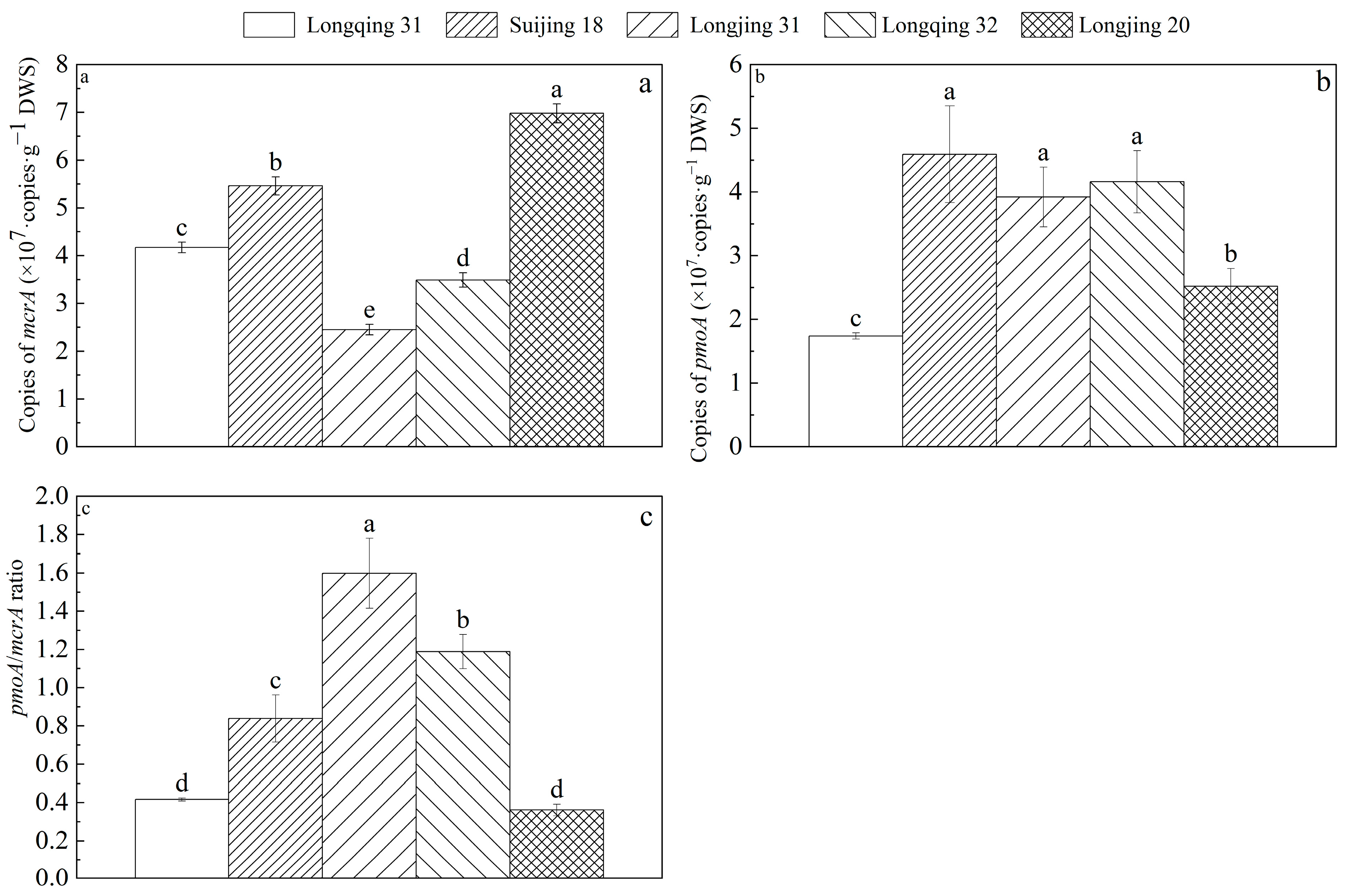 Plants 13 03223 g006