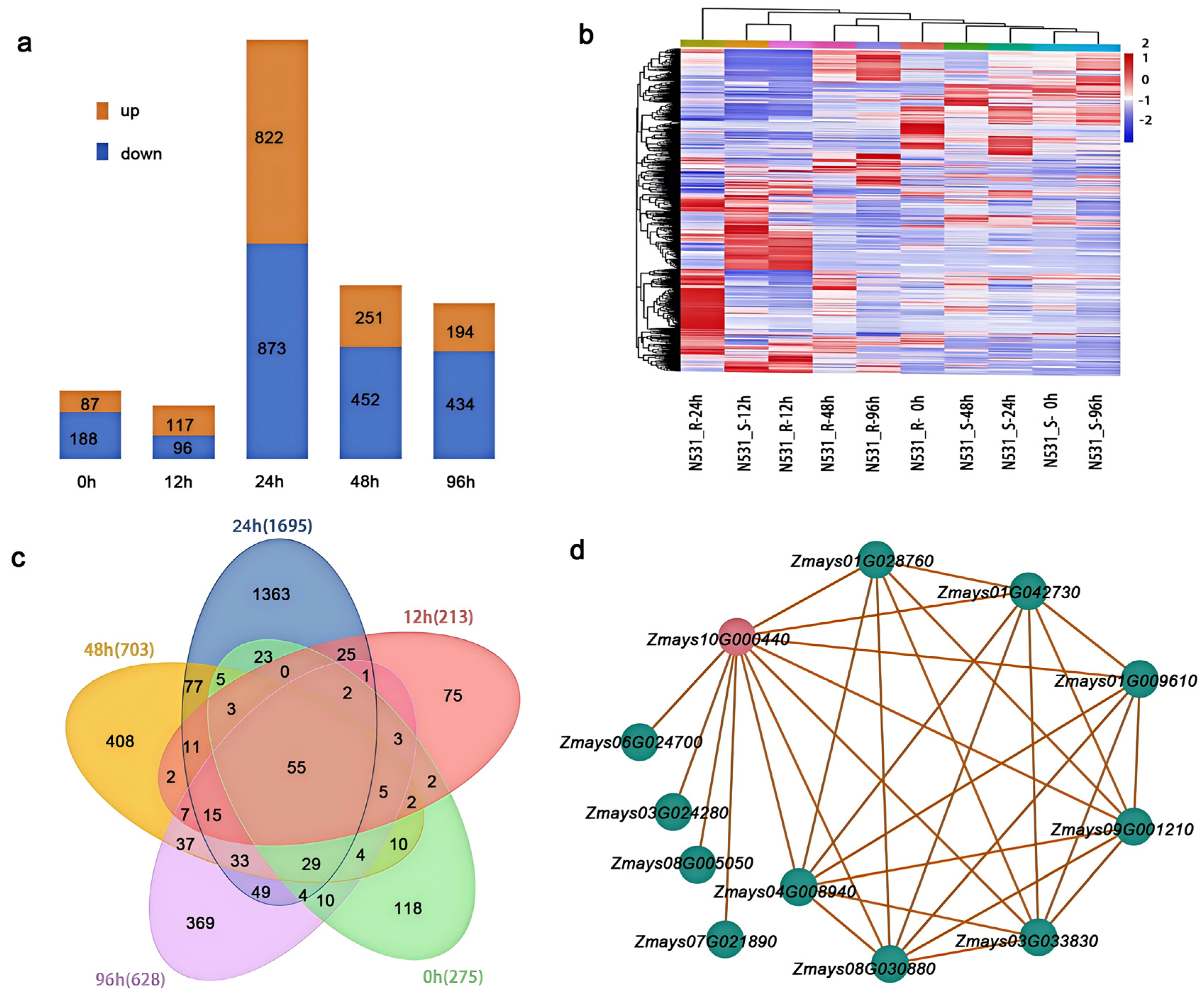 Plants 13 03227 g004