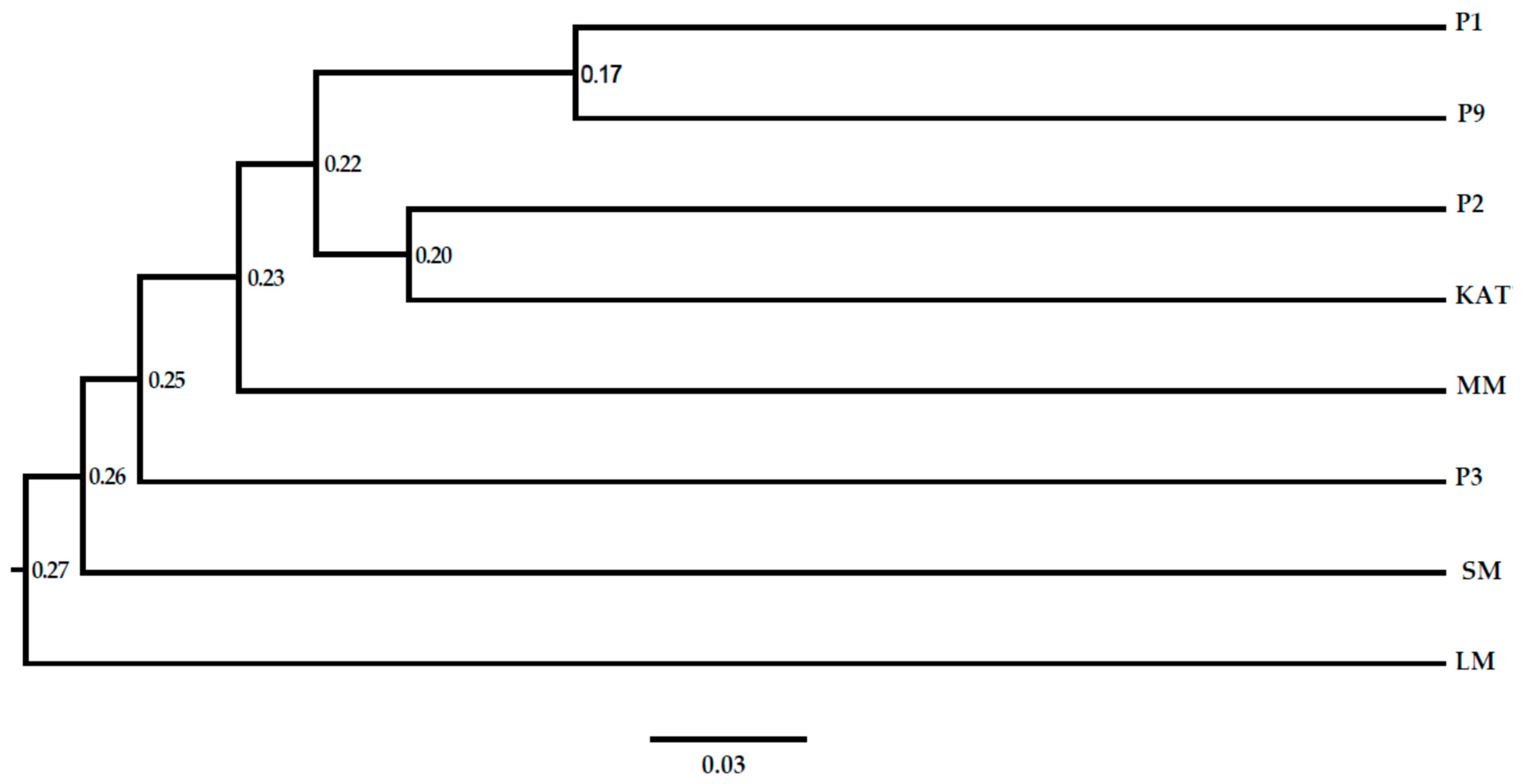 Plants 13 03228 g001