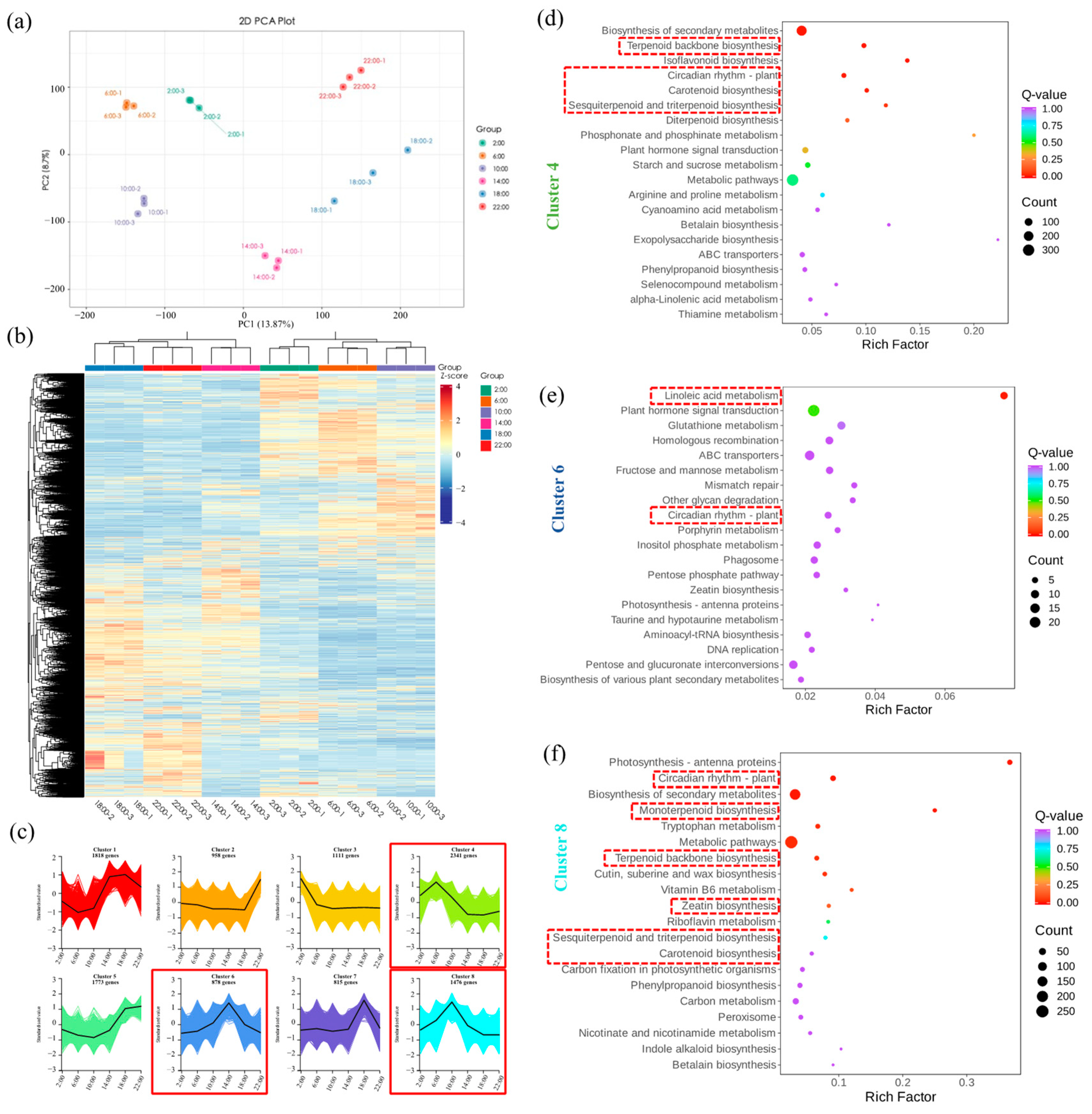 Plants 13 03232 g002