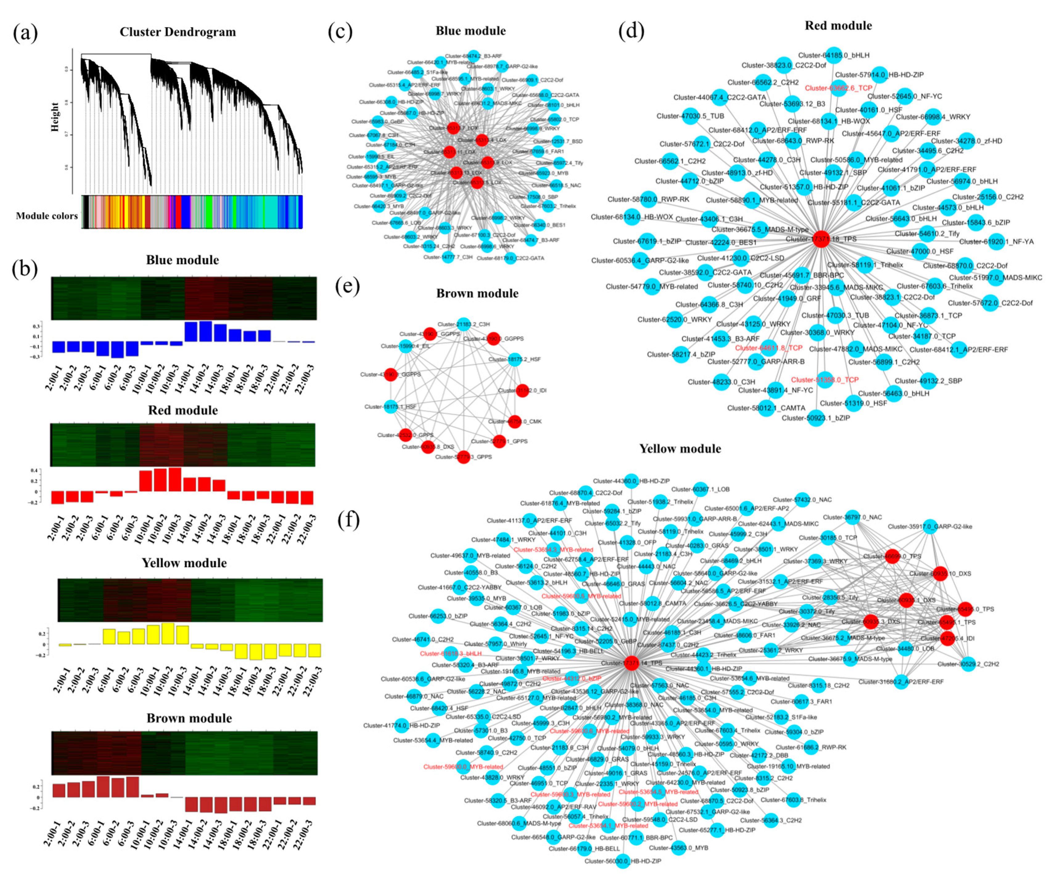 Plants 13 03232 g004