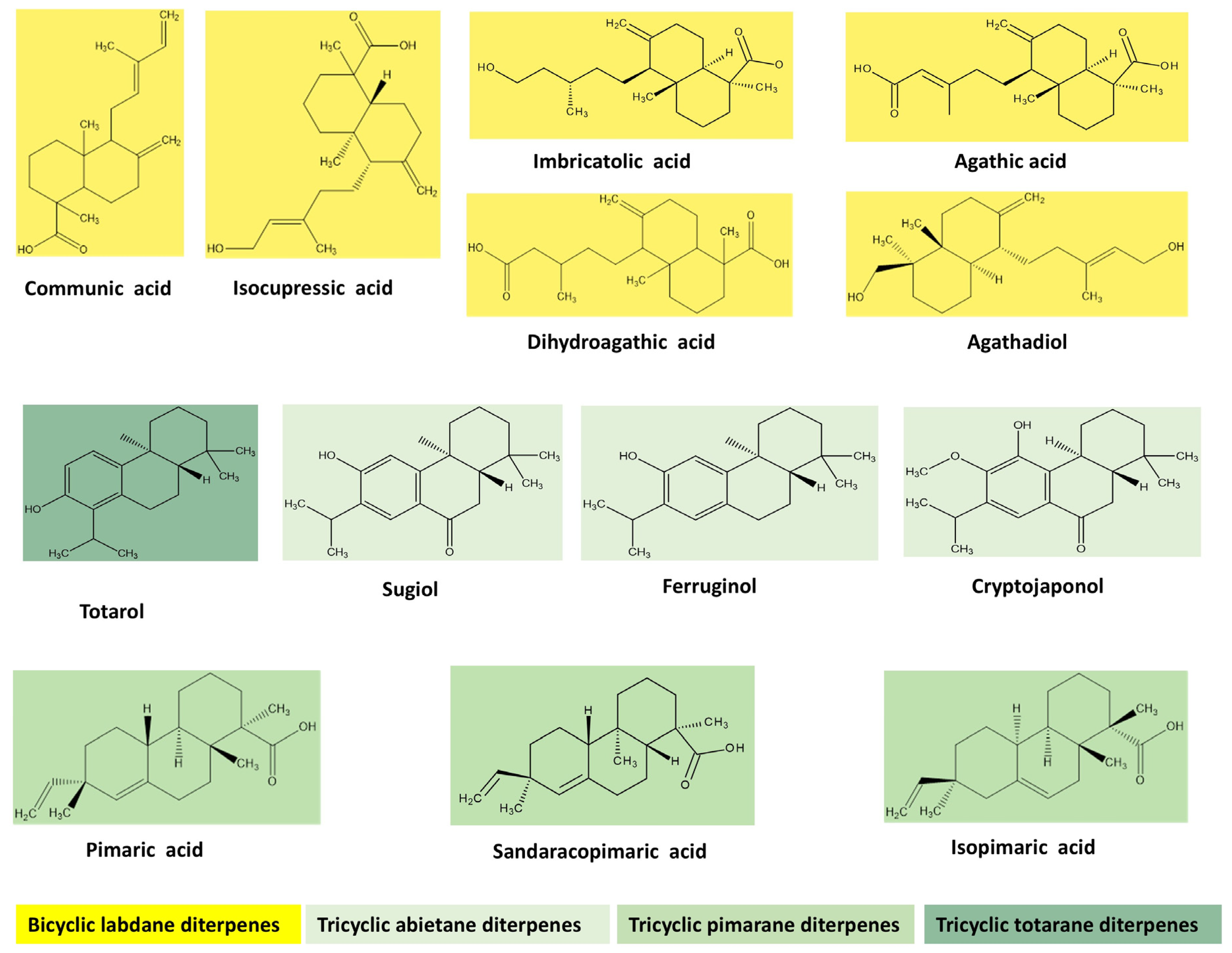 Plants 13 03233 g002