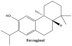 Plants 13 03233 i007
