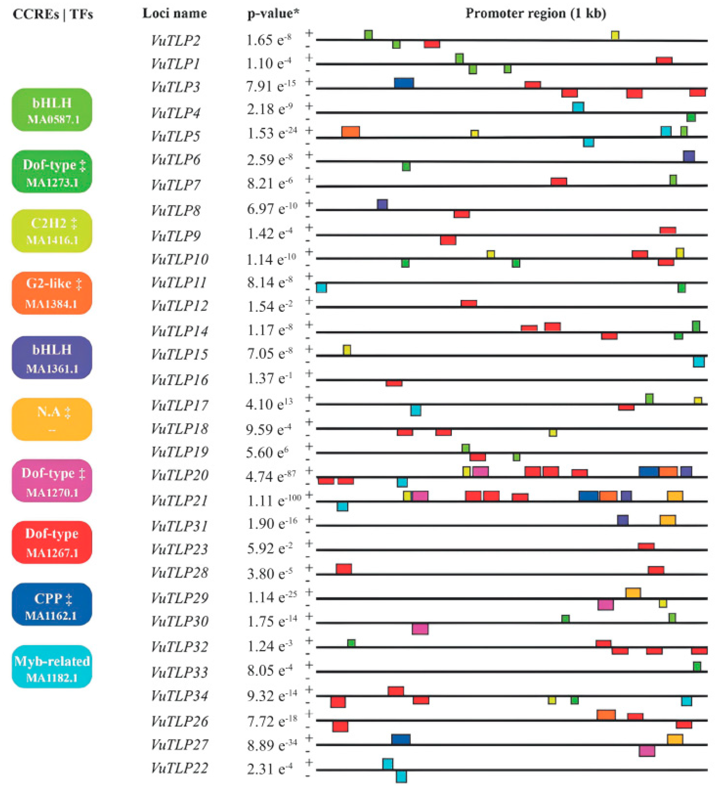 Plants 13 03245 g002