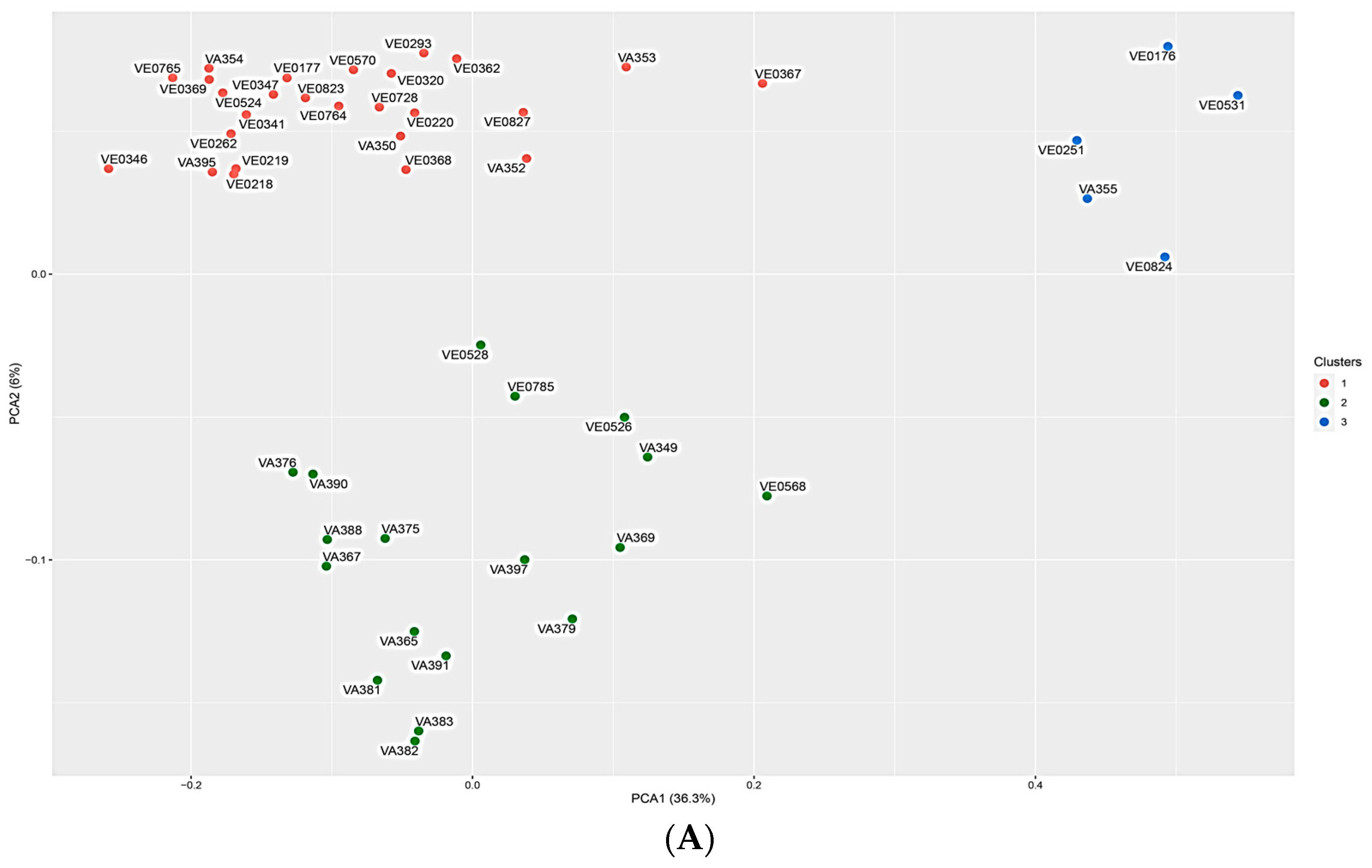 Plants 13 03249 g004a