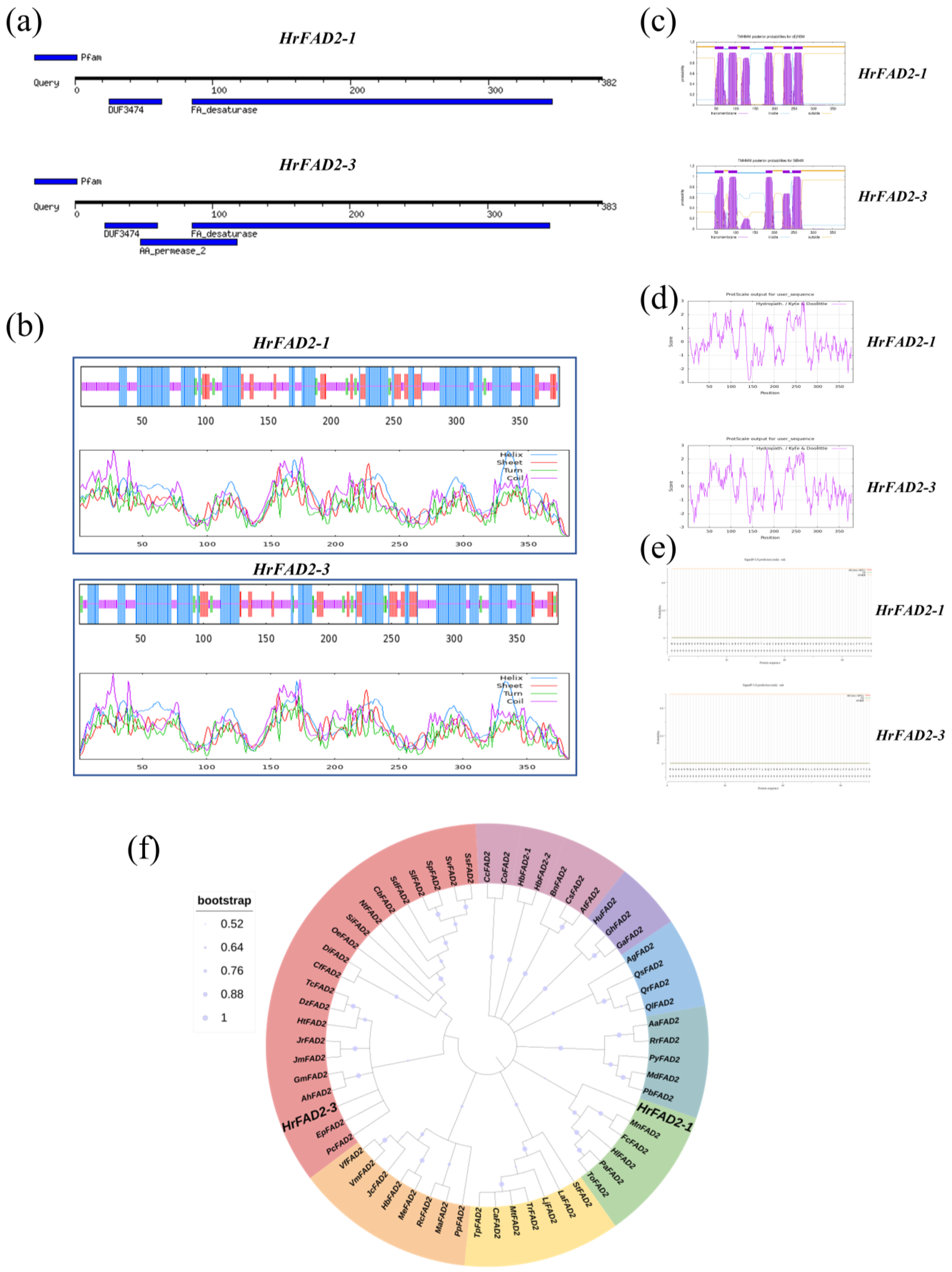 Plants 13 03252 g001