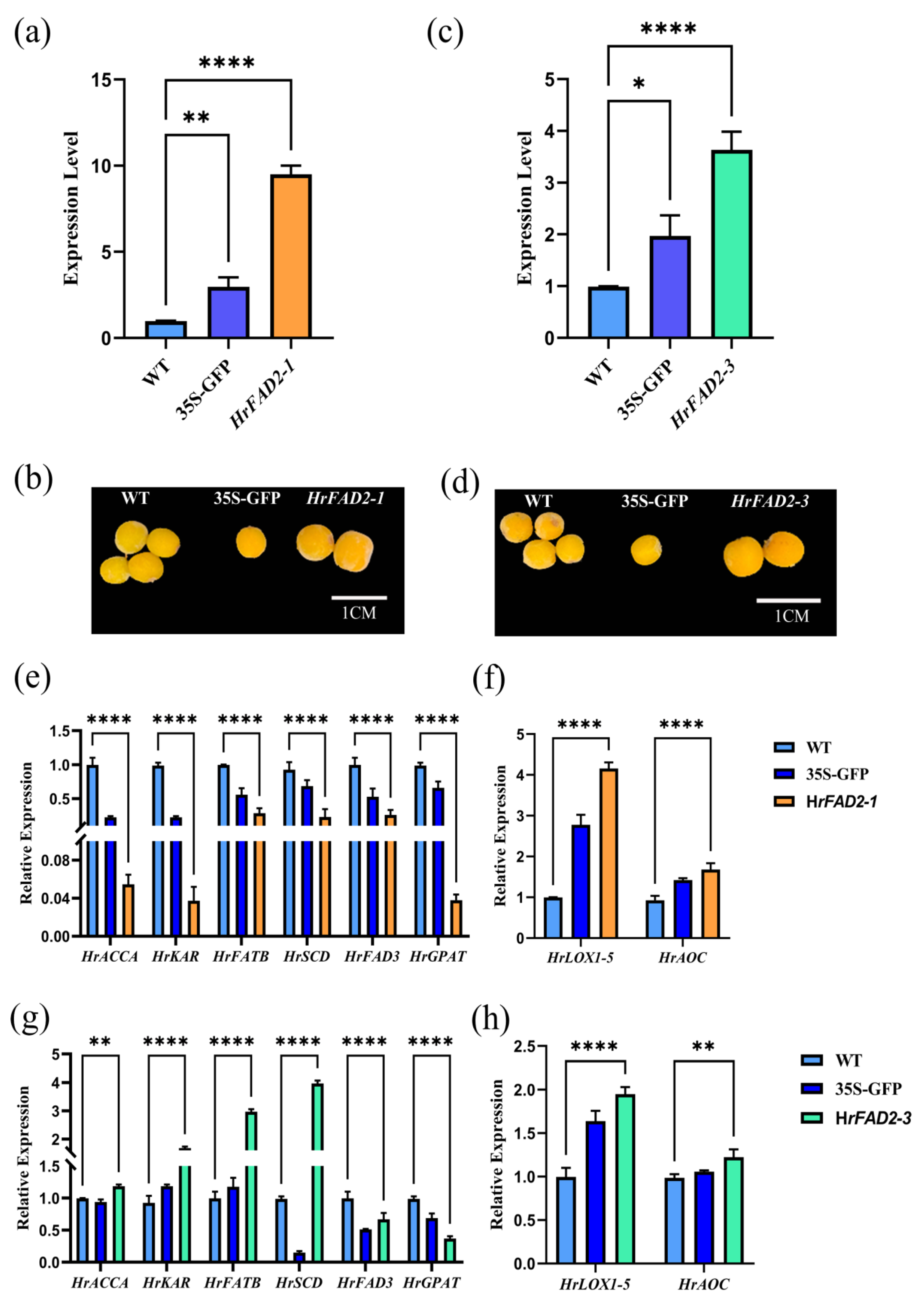 Plants 13 03252 g004