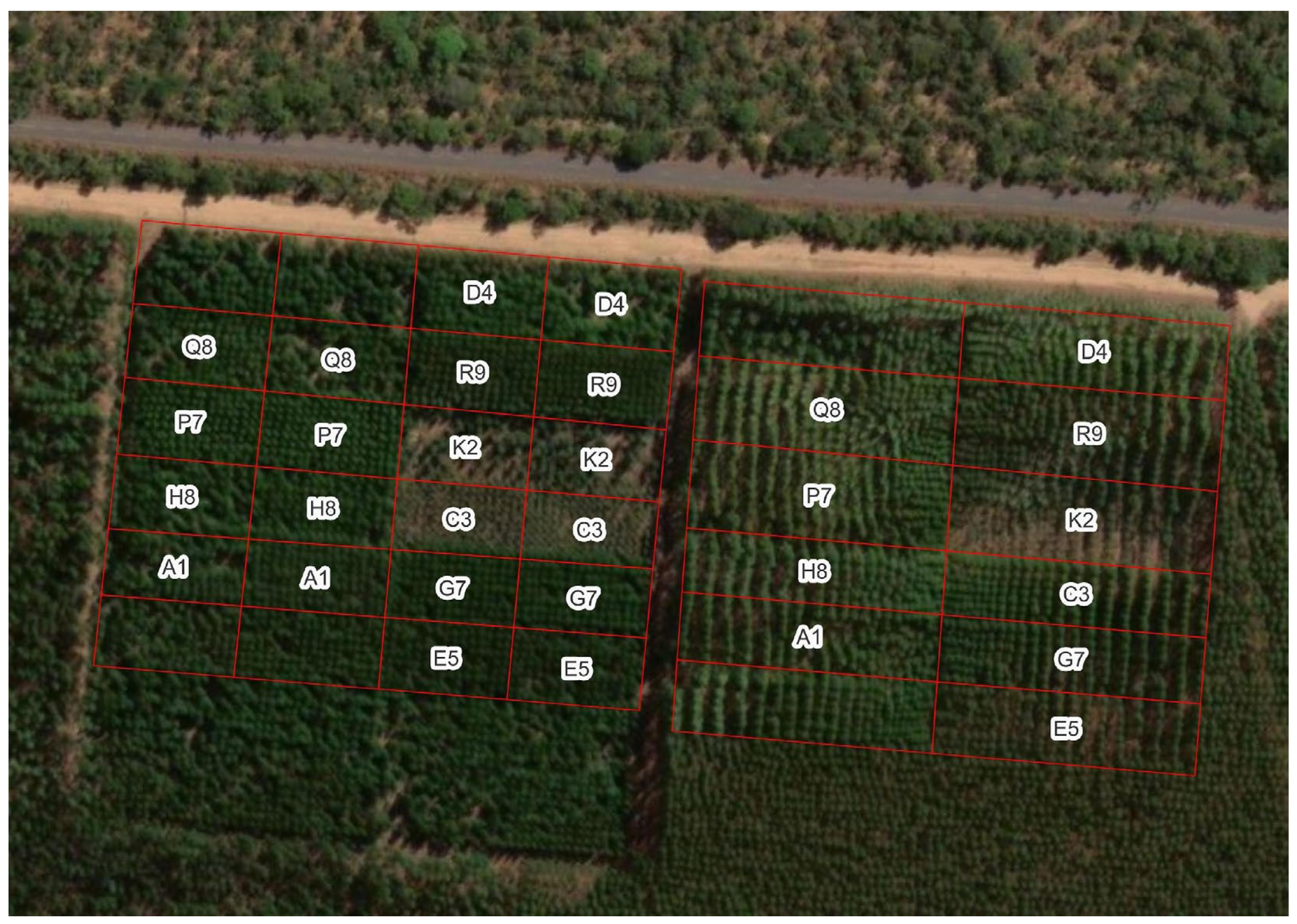 Plants 13 03254 g009