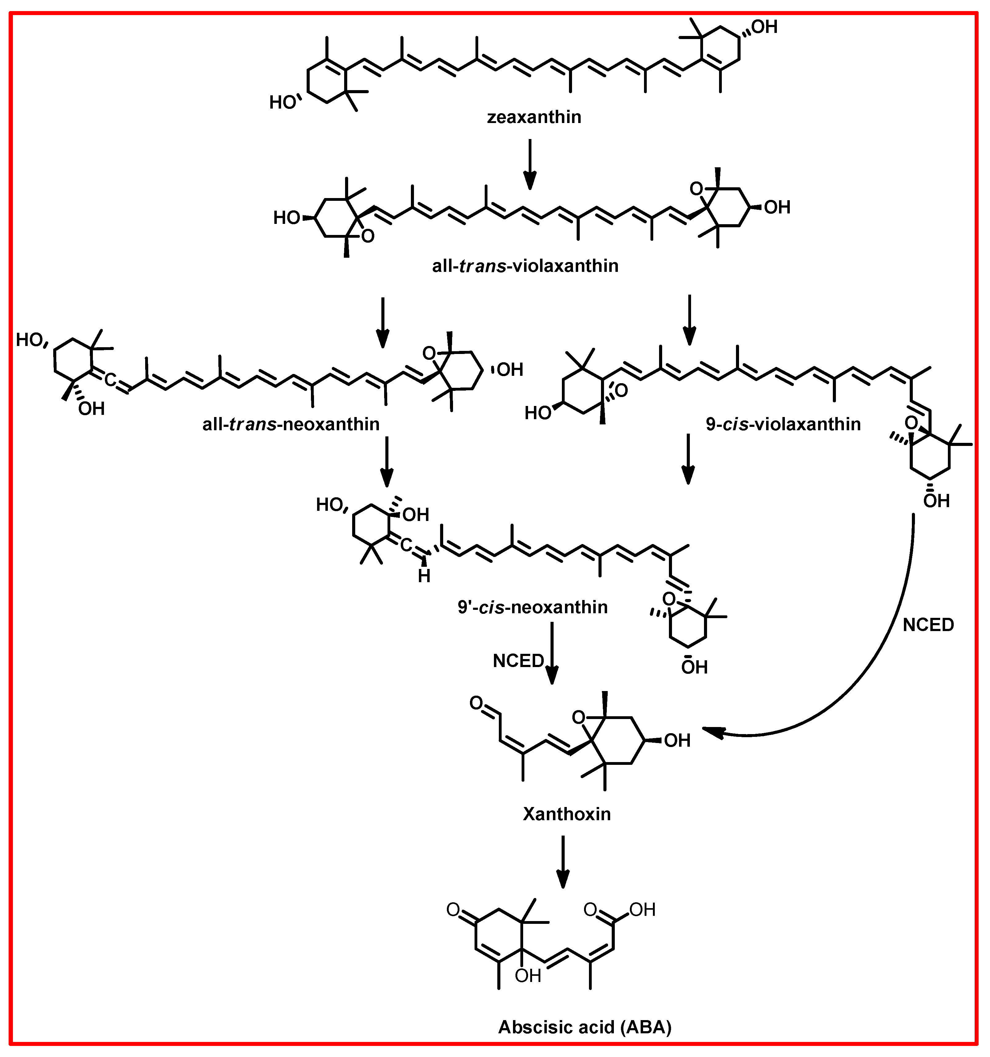 Recent Advances in Postharvest Application of Exogenous