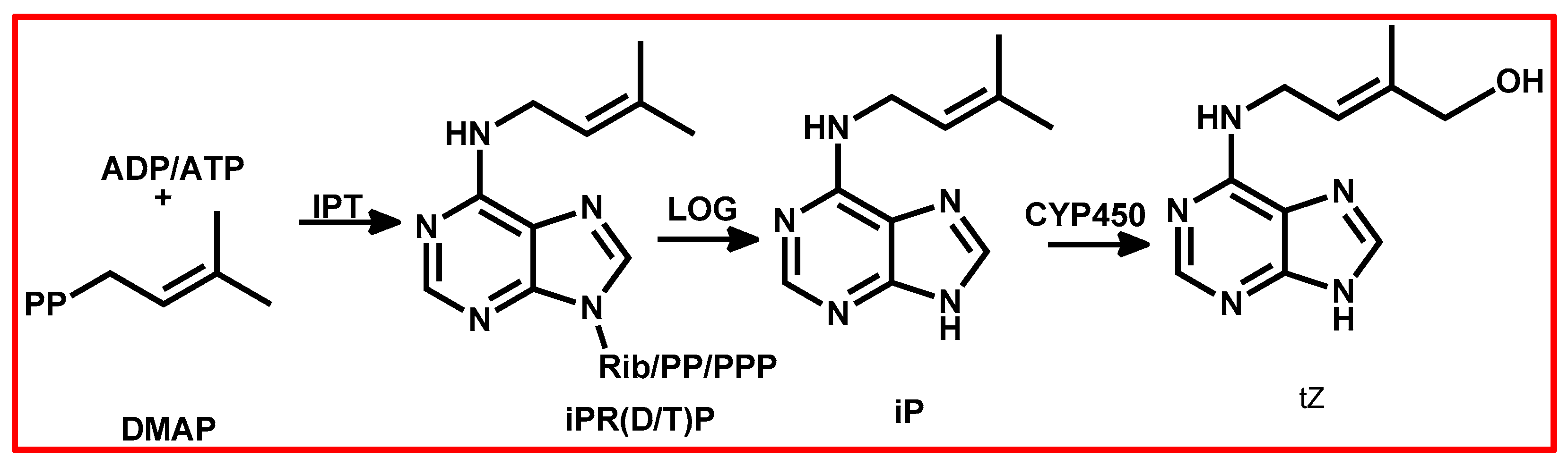 Plants 13 03255 g005