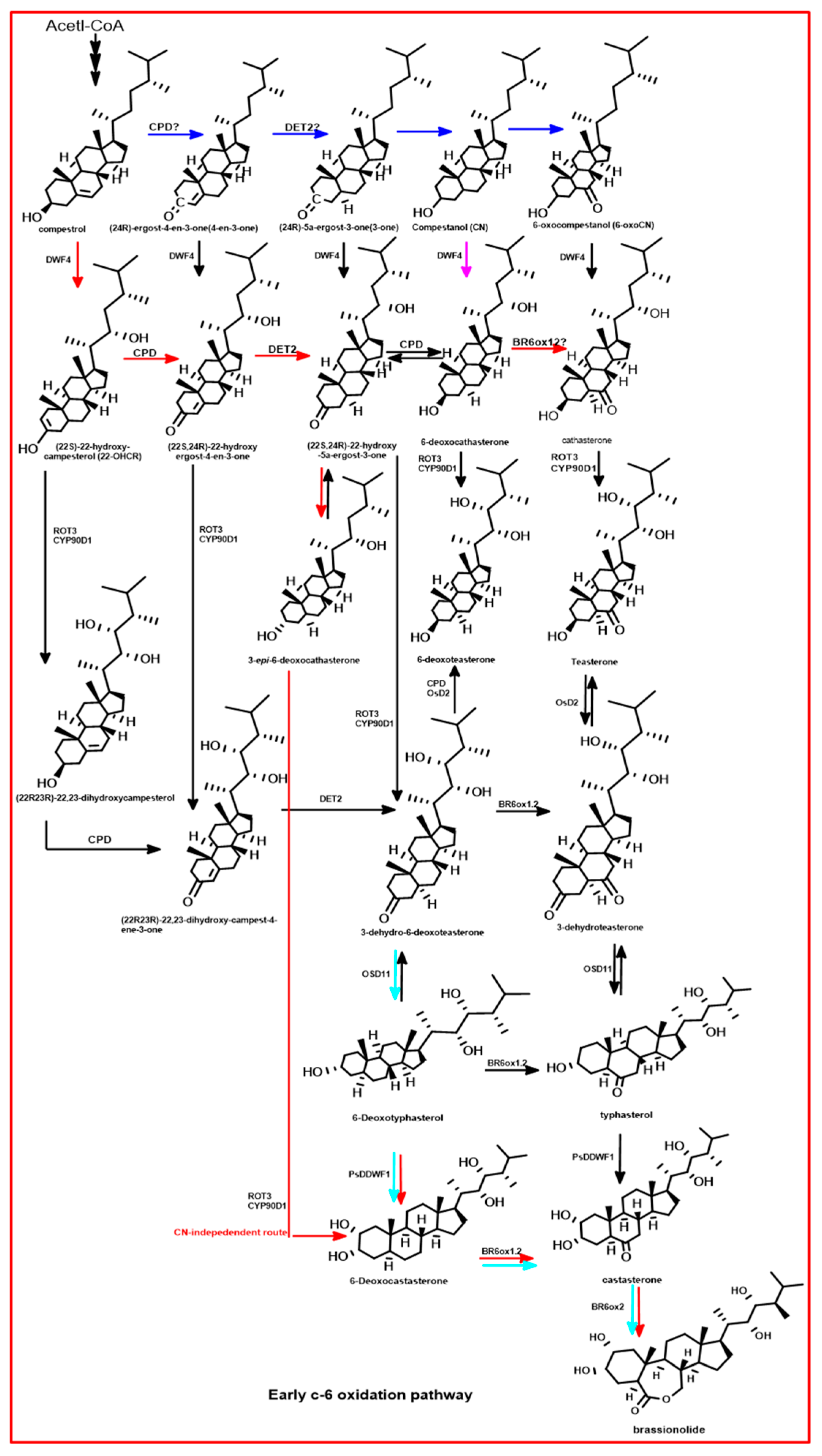 Plants 13 03255 g008