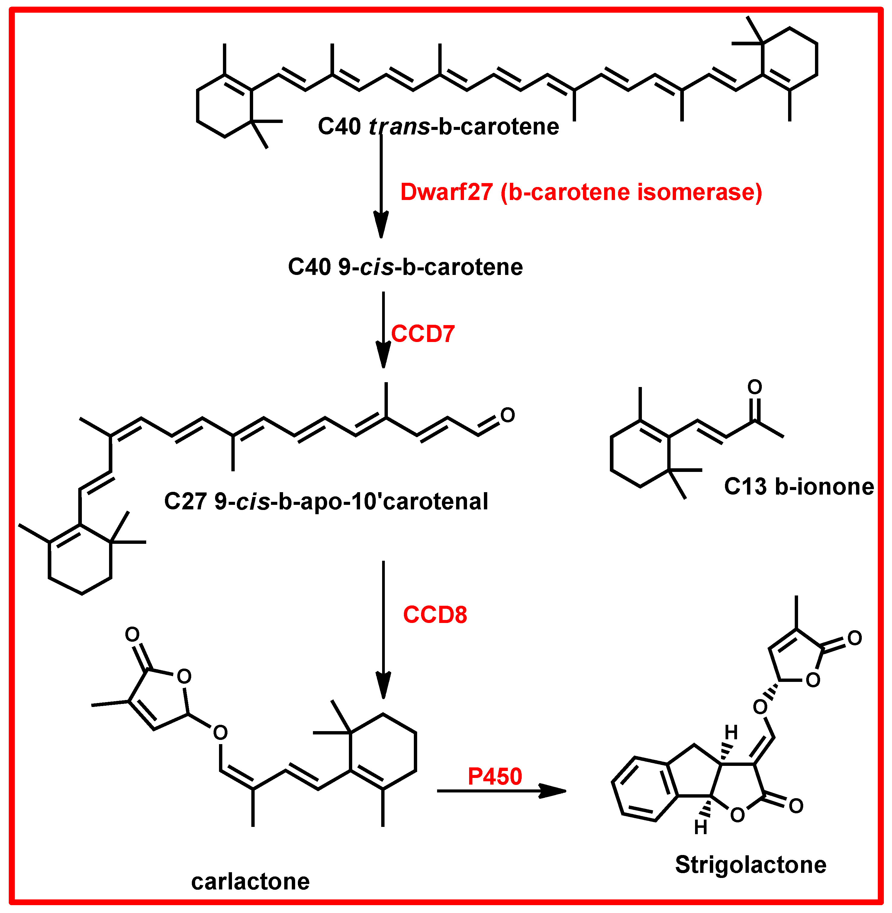 Plants 13 03255 g010