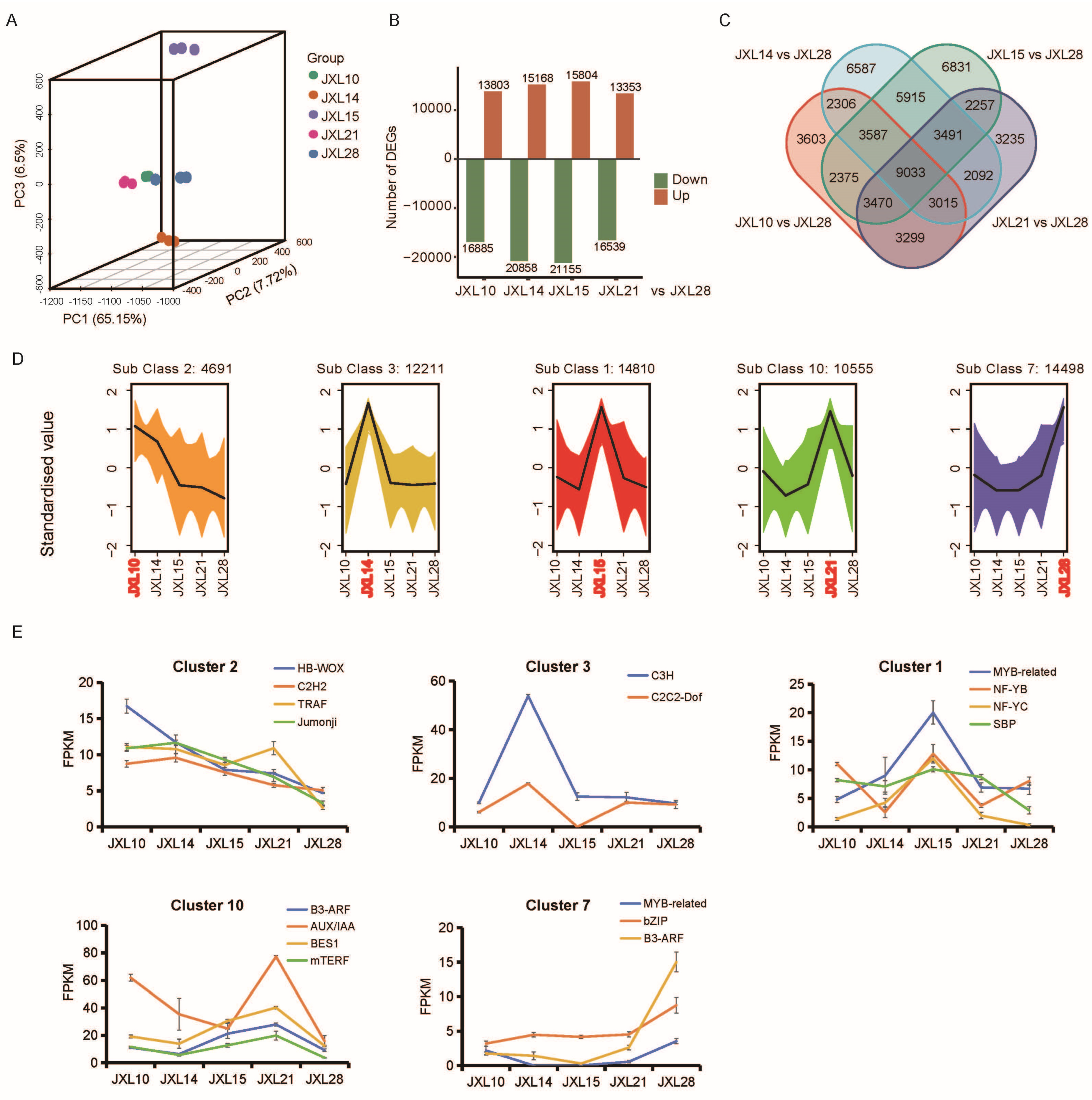 Plants 13 03262 g004