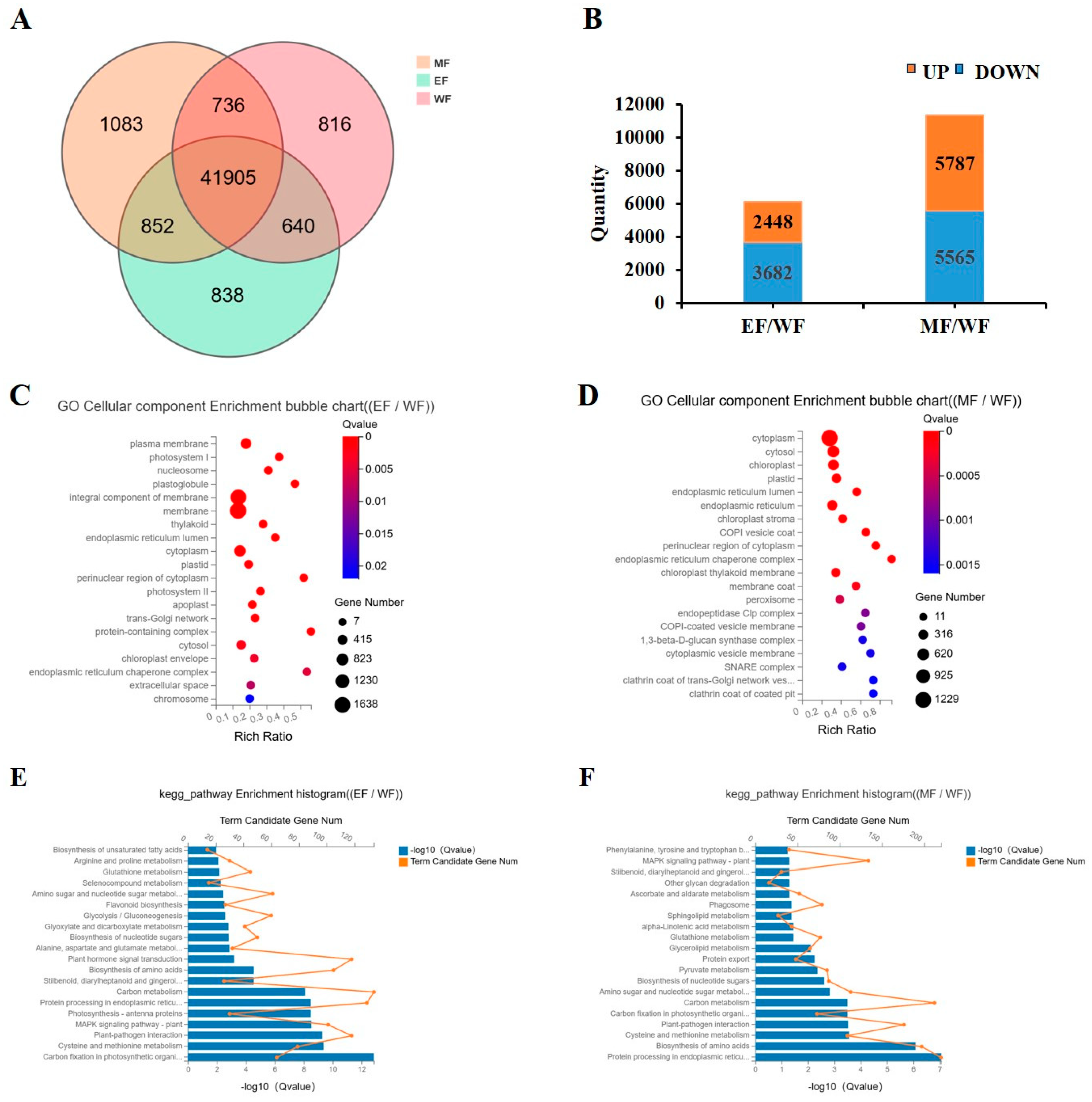 Plants 13 03266 g004