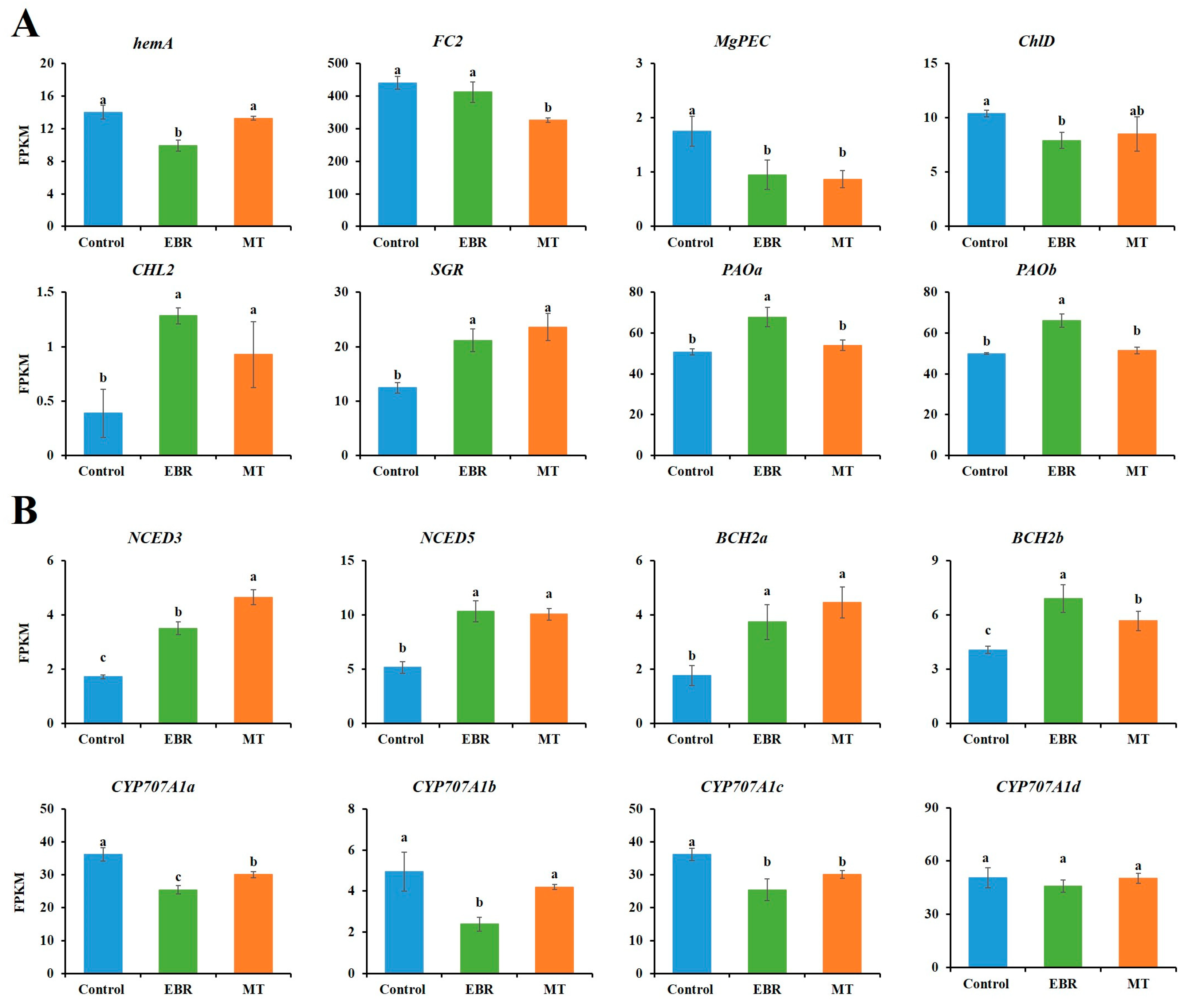 Plants 13 03266 g005