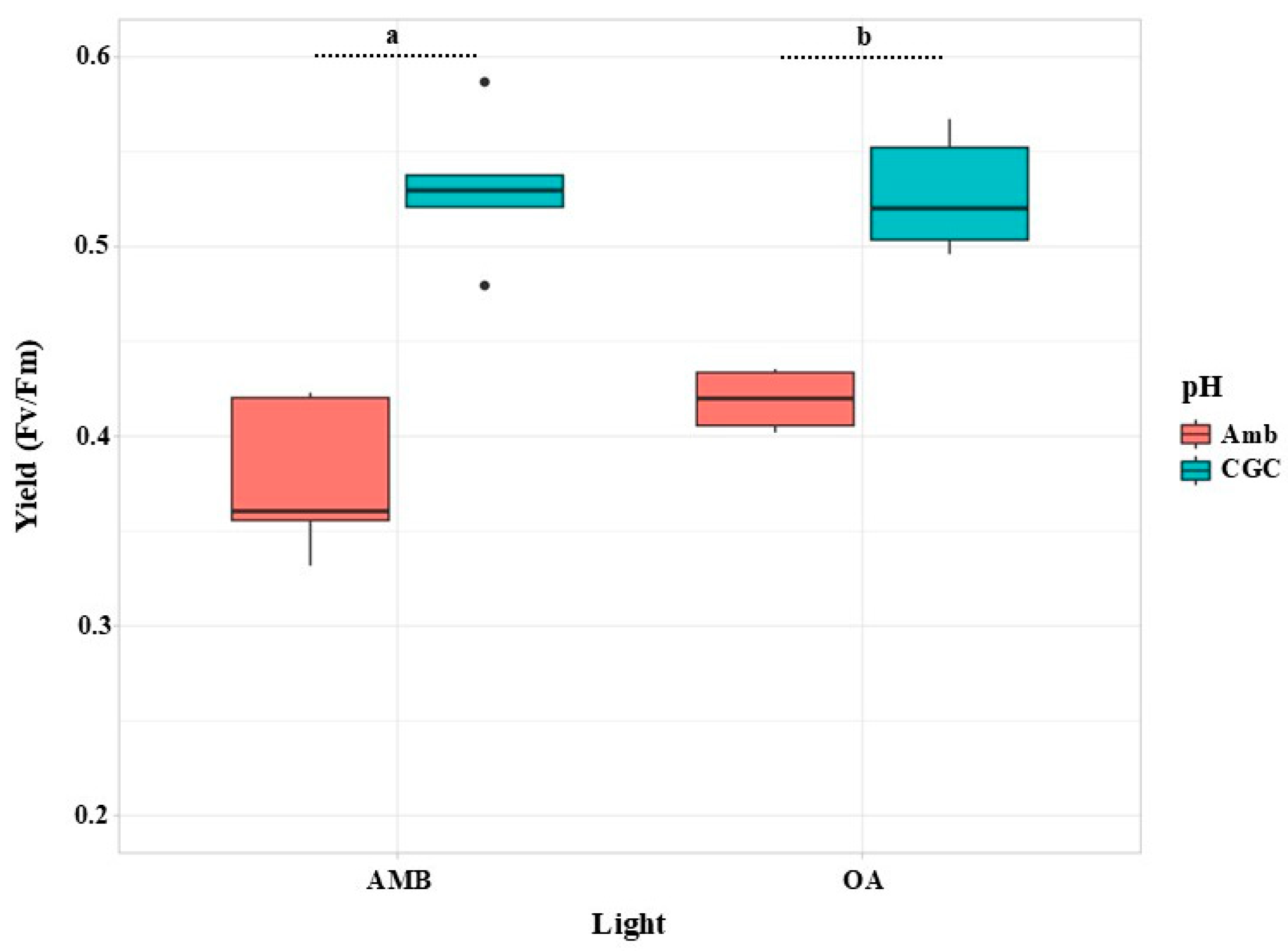 Plants 13 03267 g003