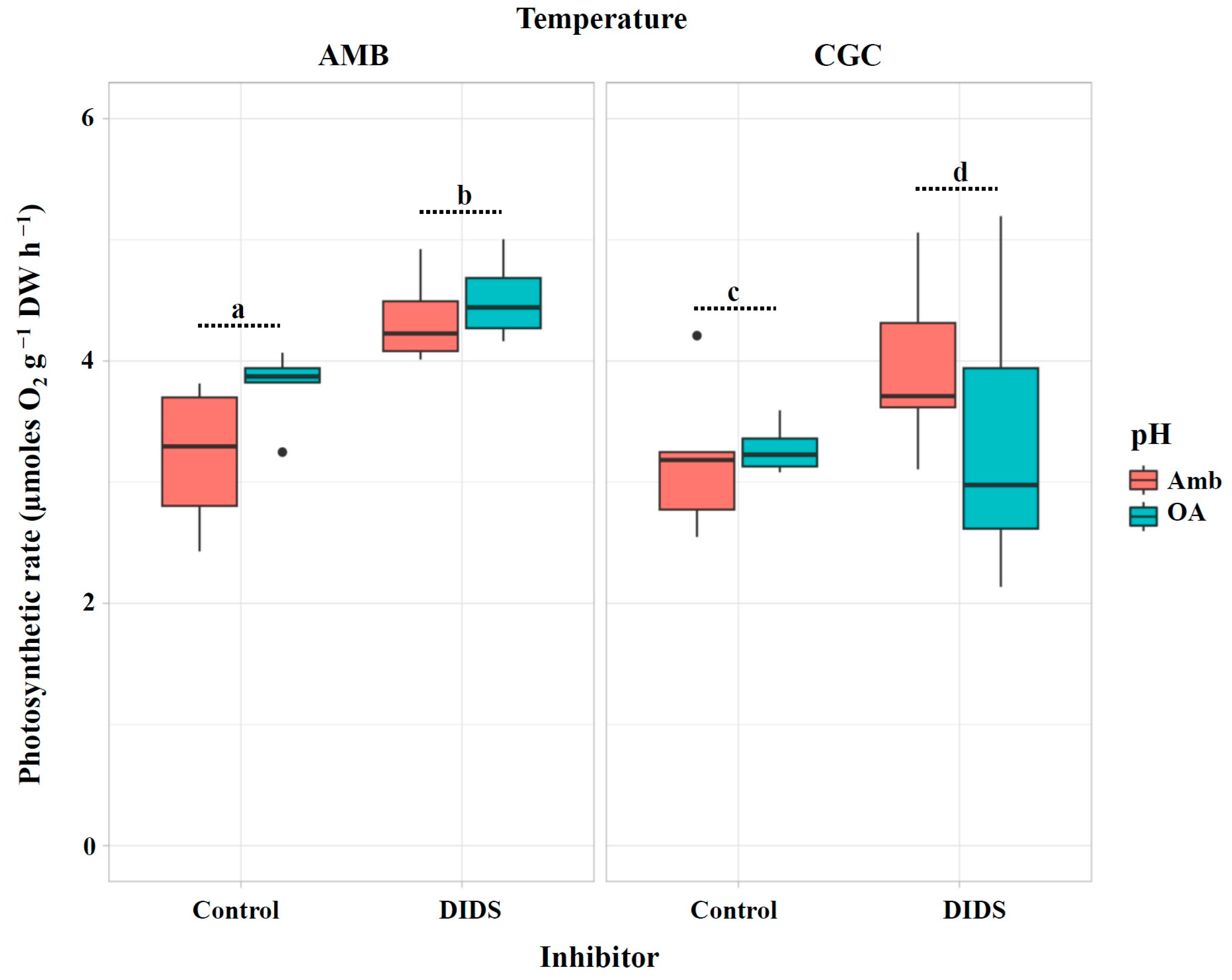 Plants 13 03267 g005