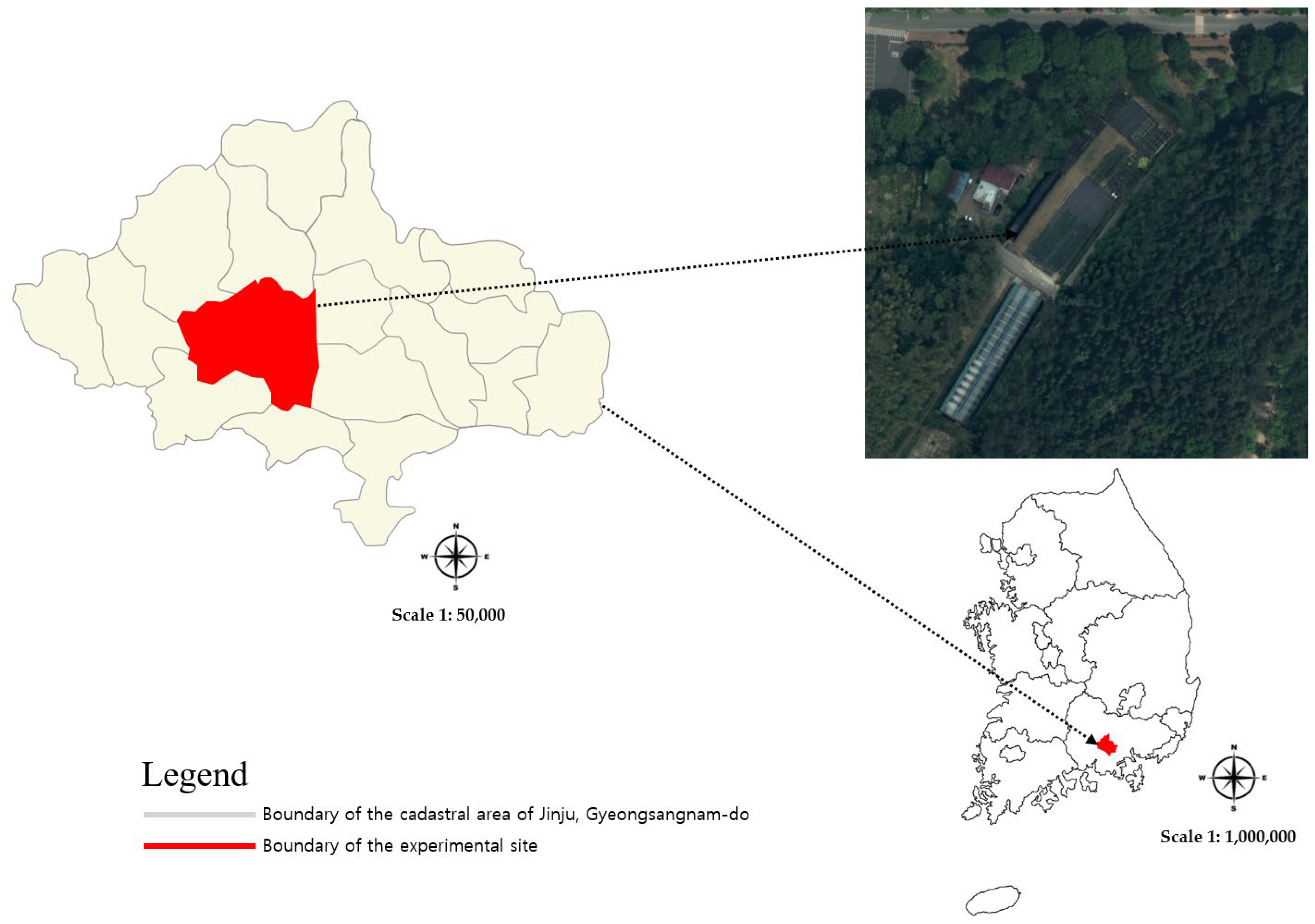 Plants 13 03270 g002 Plants 13 03270 g002