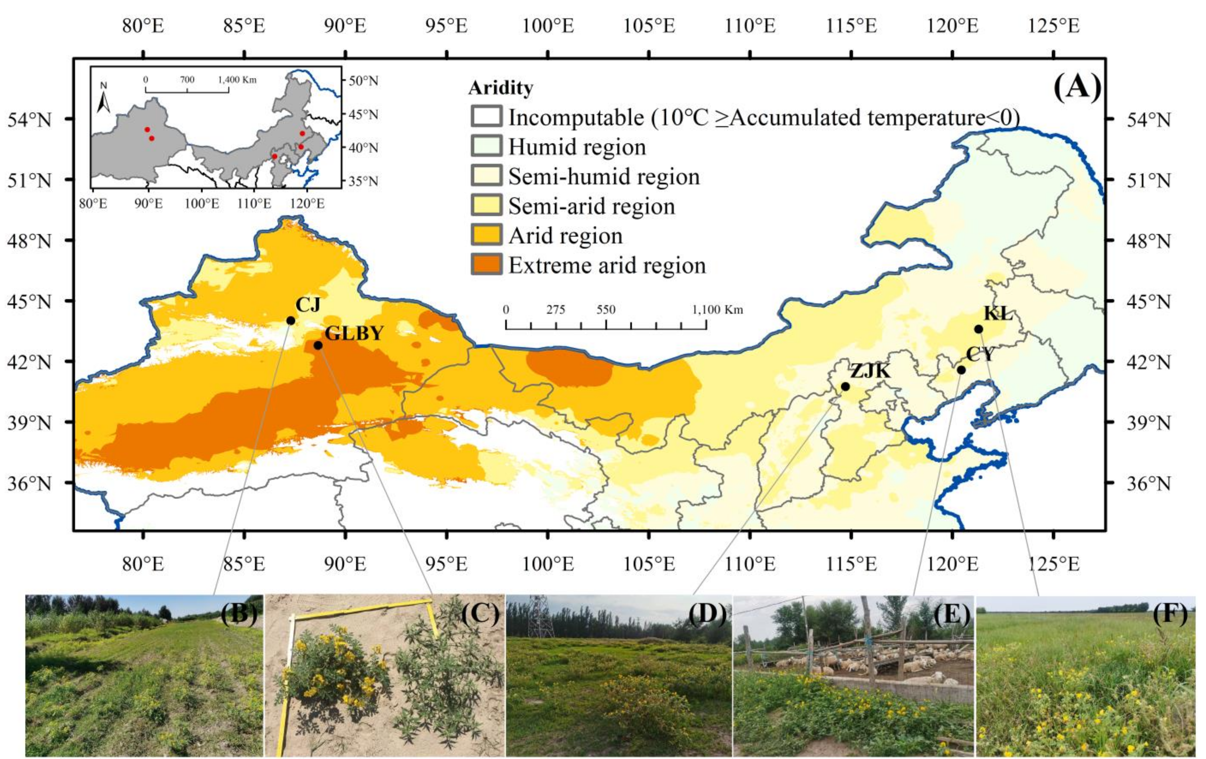 Plants 13 03287 g001