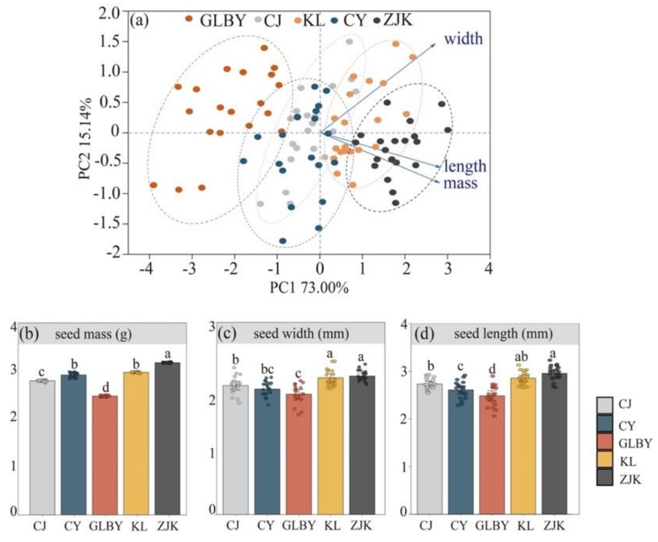 Plants 13 03287 g002