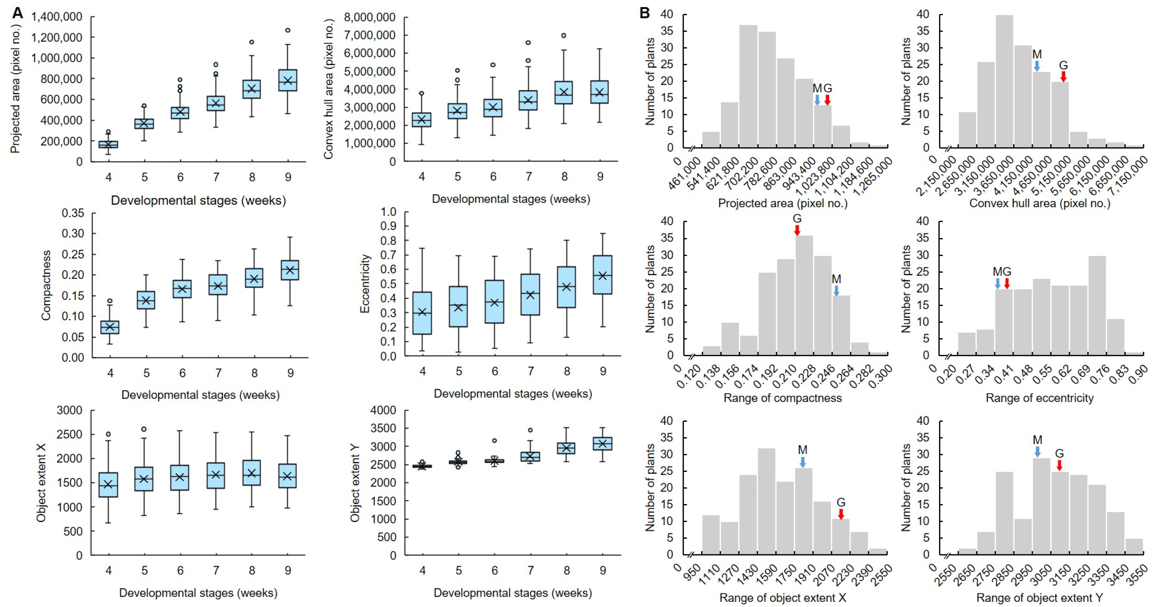 Plants 13 03288 g005