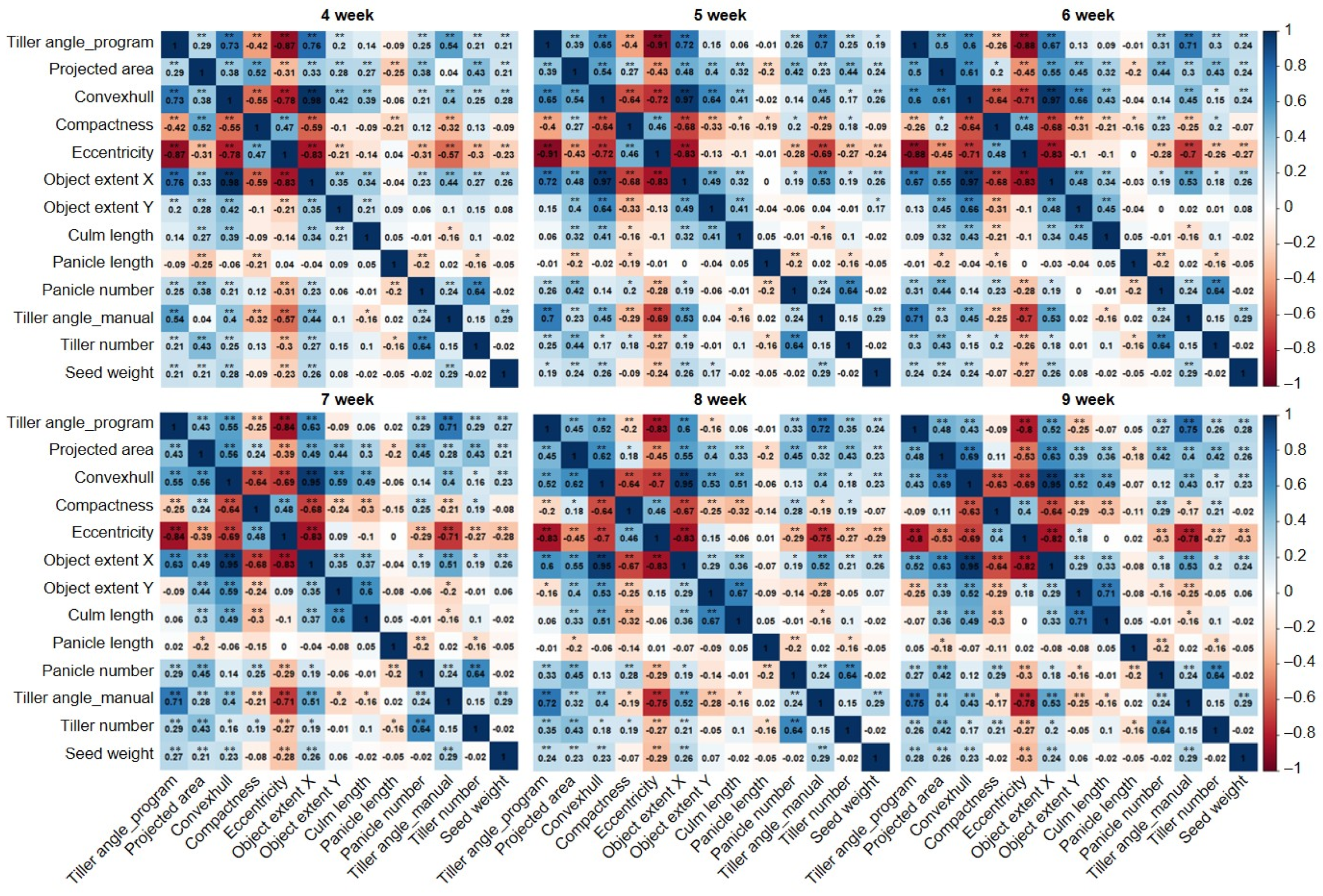 Plants 13 03288 g006