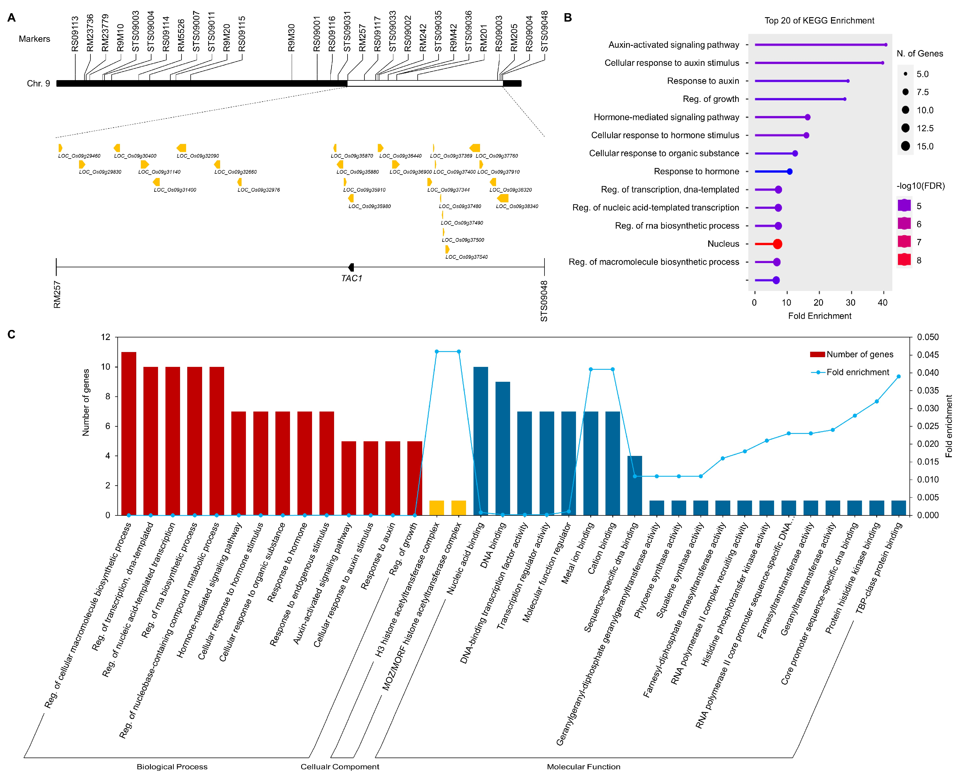 Plants 13 03288 g008